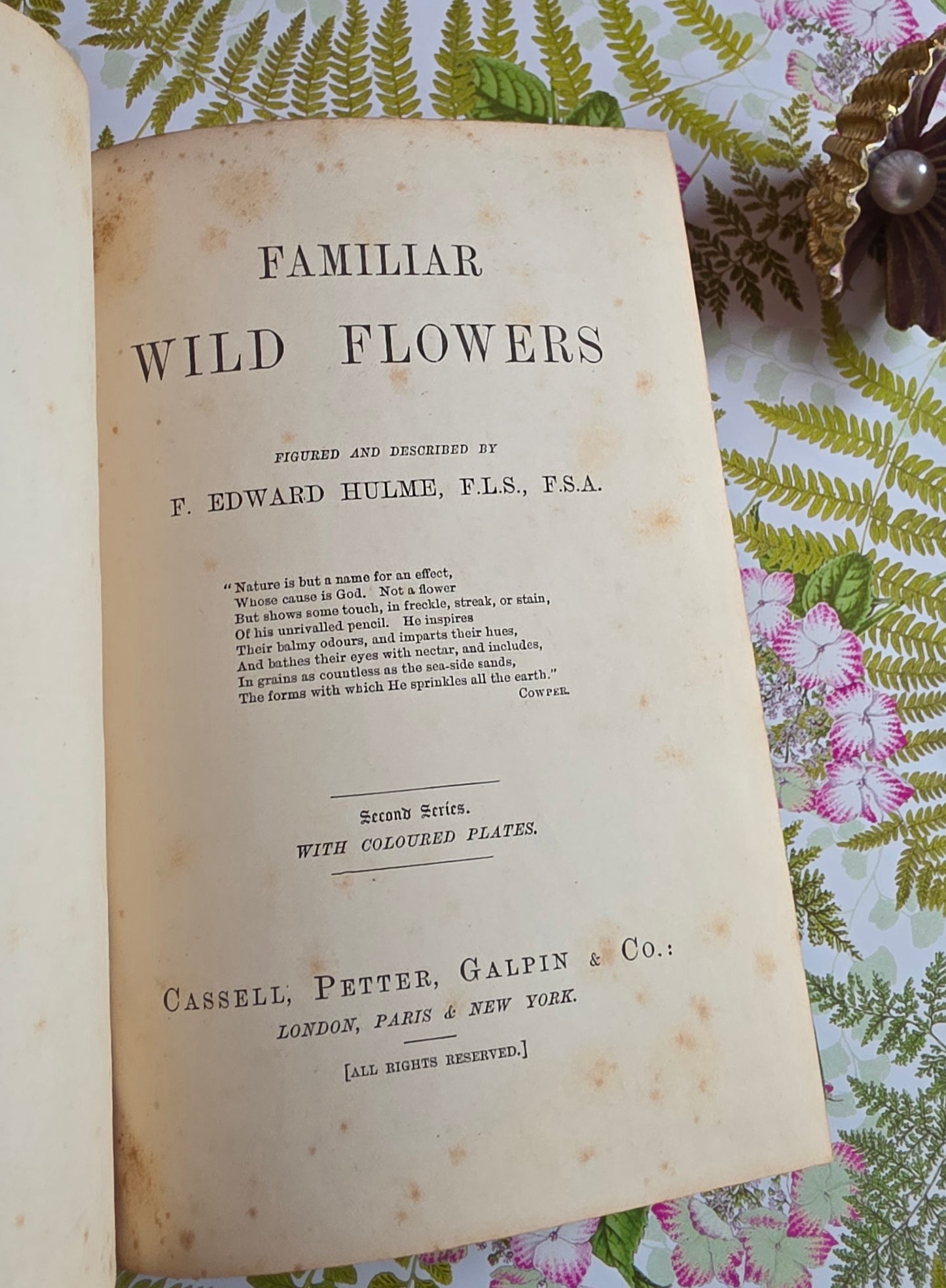 1883 Familiar Wild Flowers / Illustrated Victorian Antique Book (Second Series)