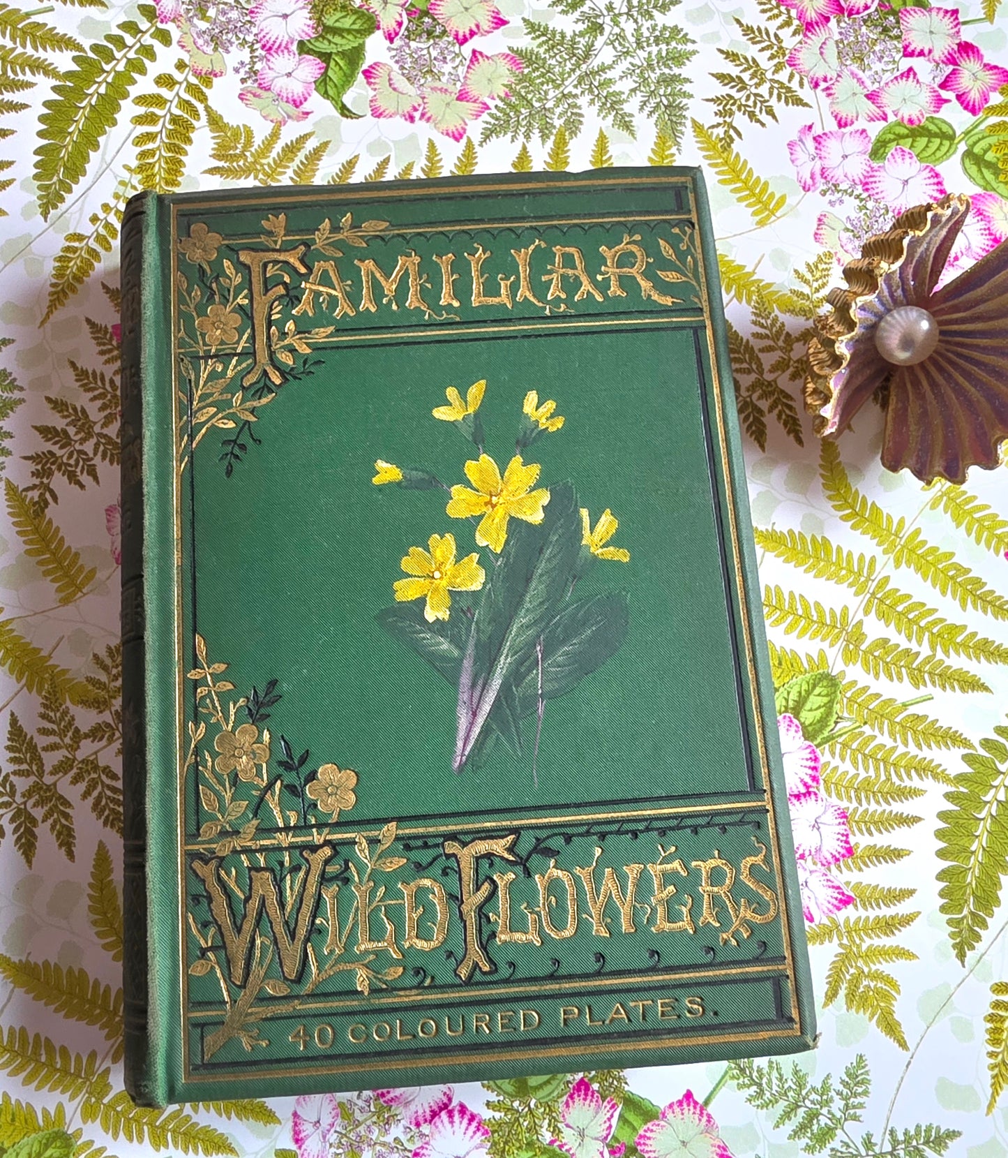 1883 Familiar Wild Flowers / Illustrated Victorian Antique Book (Third Series)