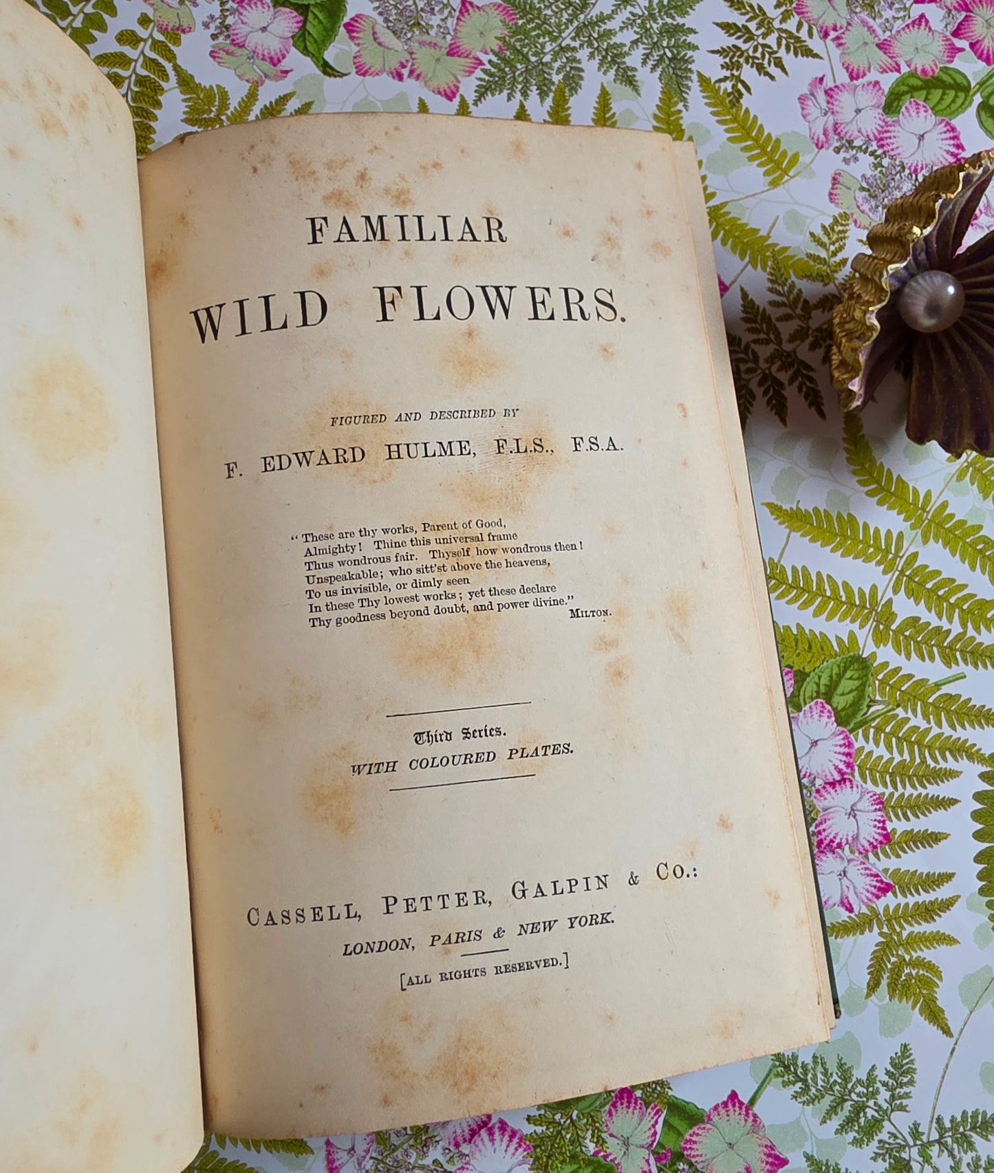 1883 Familiar Wild Flowers / Illustrated Victorian Antique Book (Third Series)