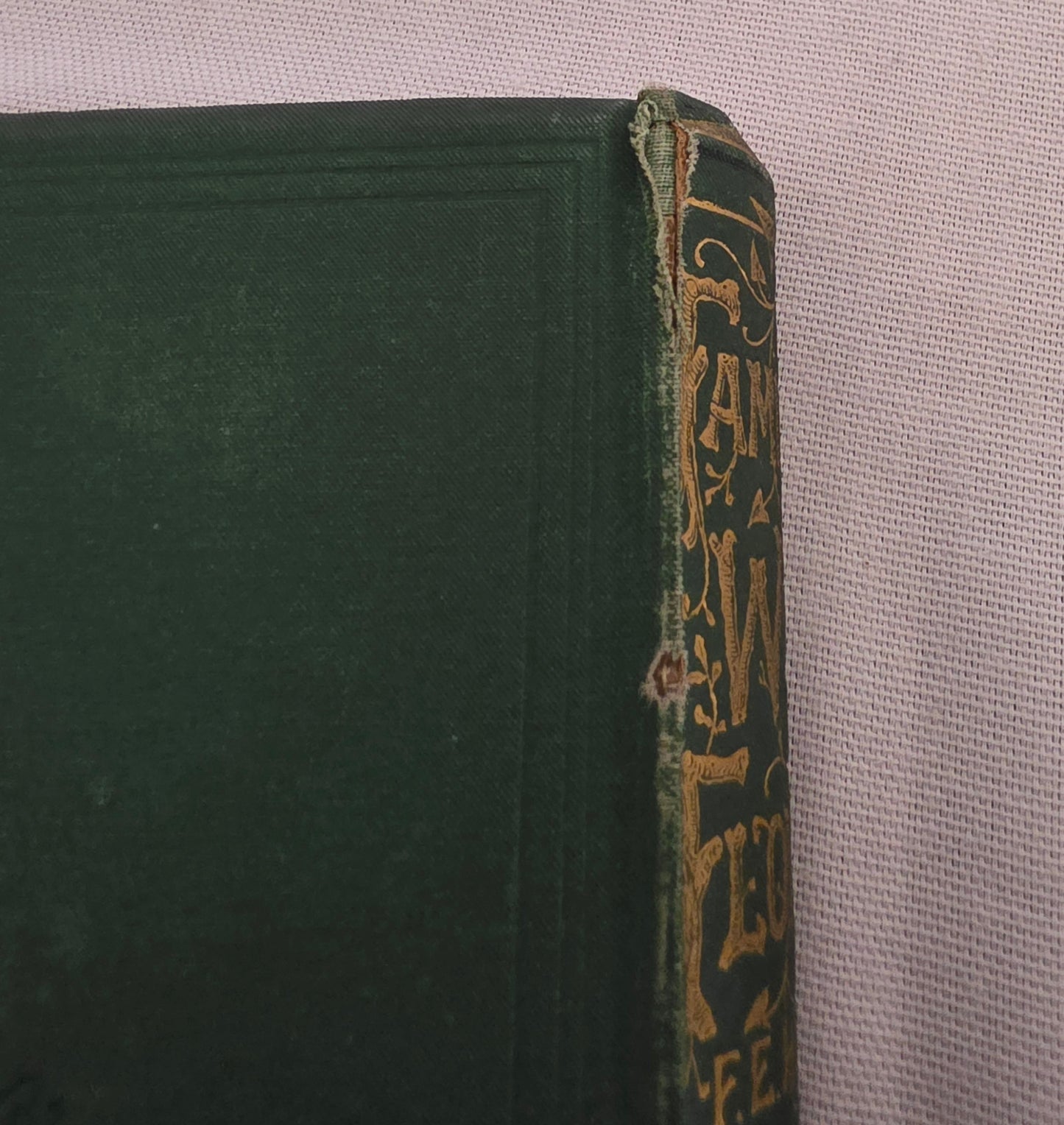 1883 Familiar Wild Flowers / Illustrated Victorian Antique Book (First Series)