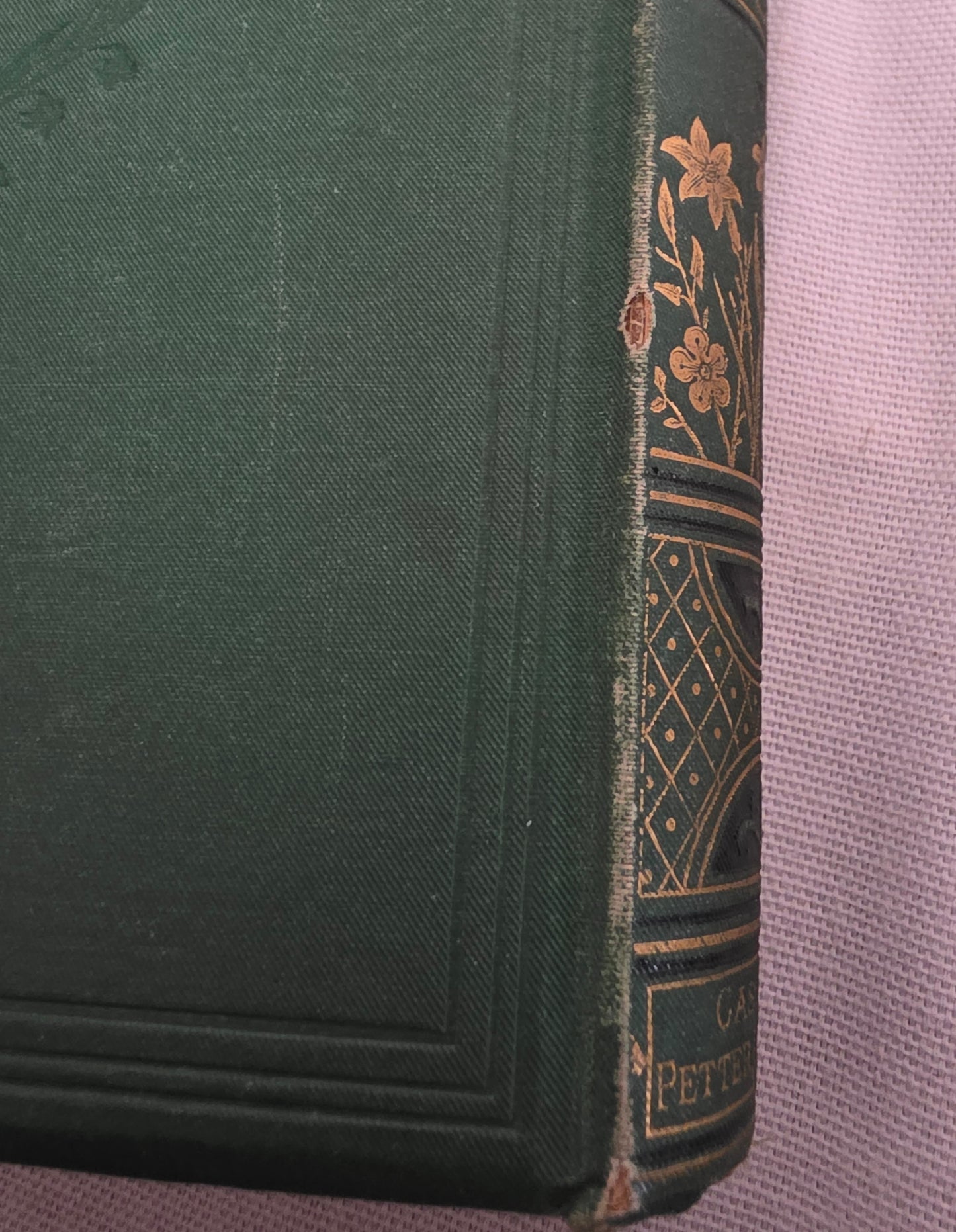 1883 Familiar Wild Flowers / Illustrated Victorian Antique Book (First Series)