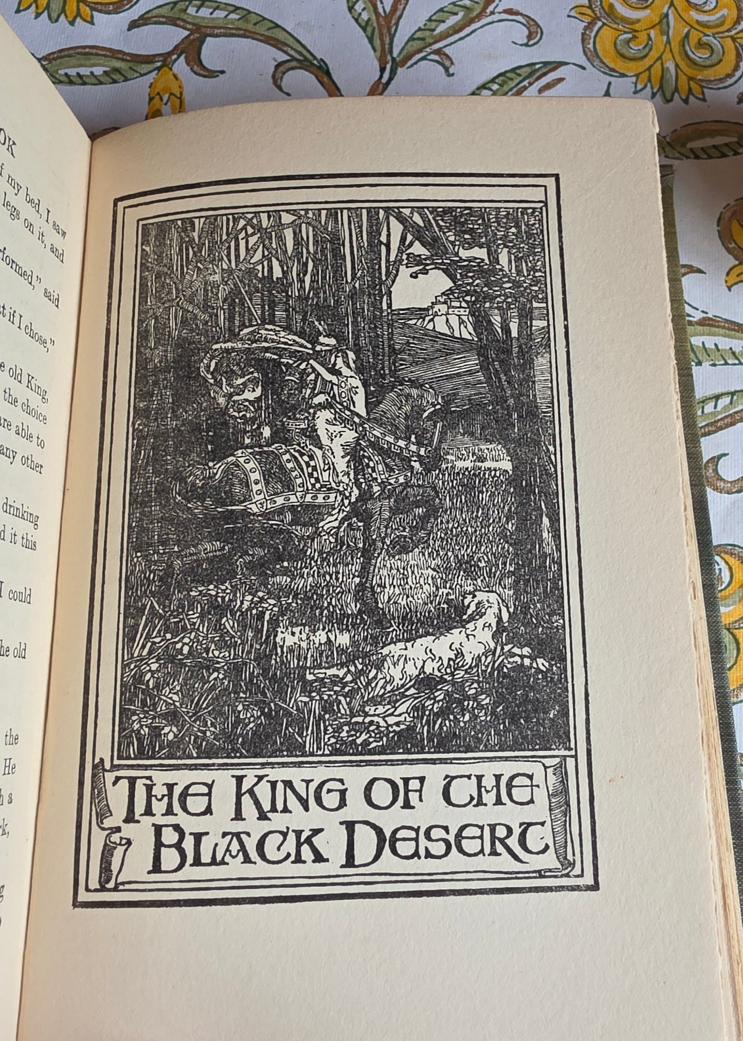 1909 The Irish Fairy Book by Alfred Perceval Graves - Illustrated Antique Book