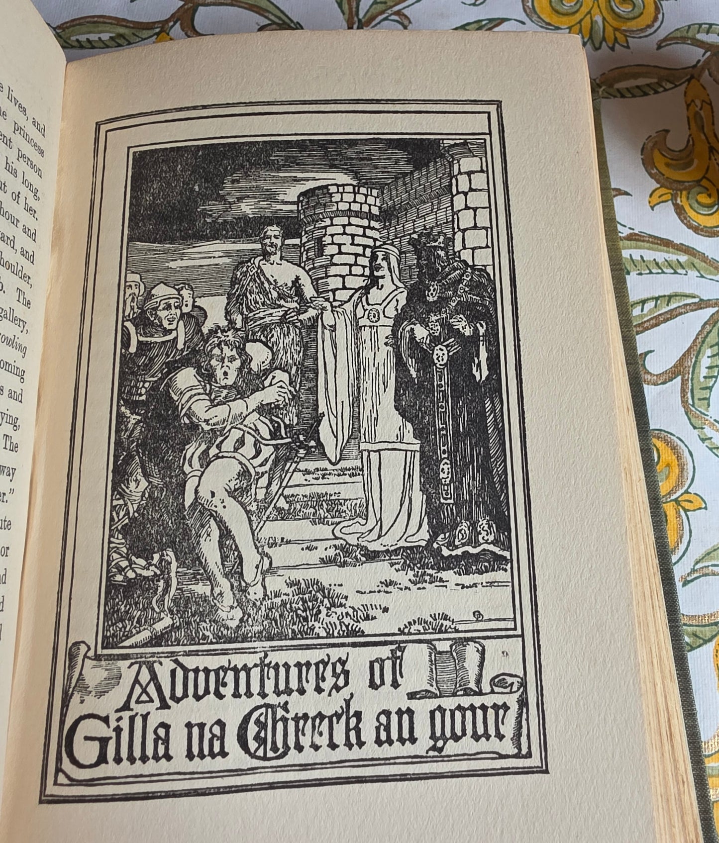 1909 The Irish Fairy Book by Alfred Perceval Graves - Illustrated Antique Book