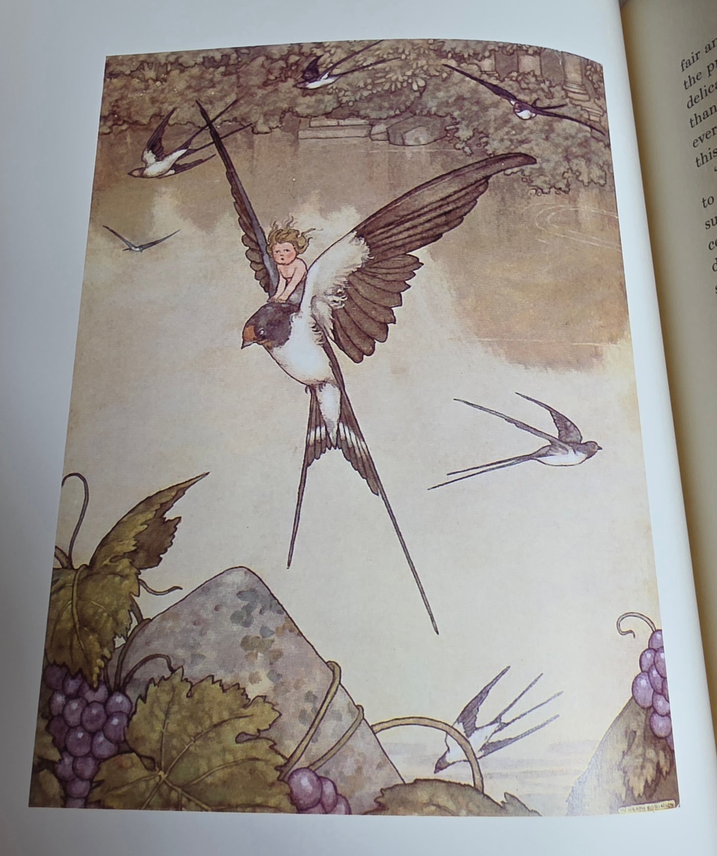 1995 Hans Christian Andersen's Fairy Tales - Vintage Slip-Cased Book Illustrated by Heath Robinson
