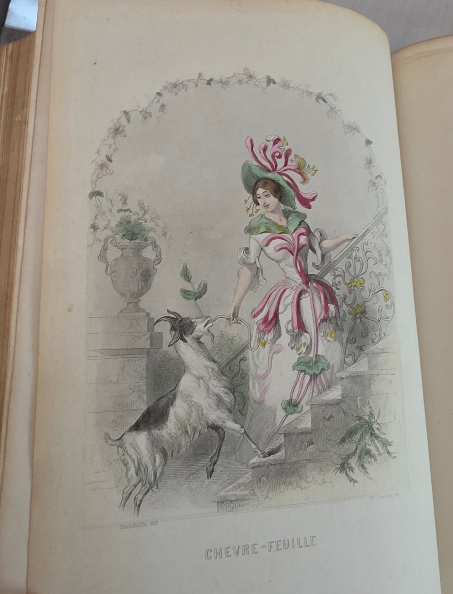 1847 Les Fleurs Animees (1st Edition, 2nd Imp) - Illustrated by Grandville