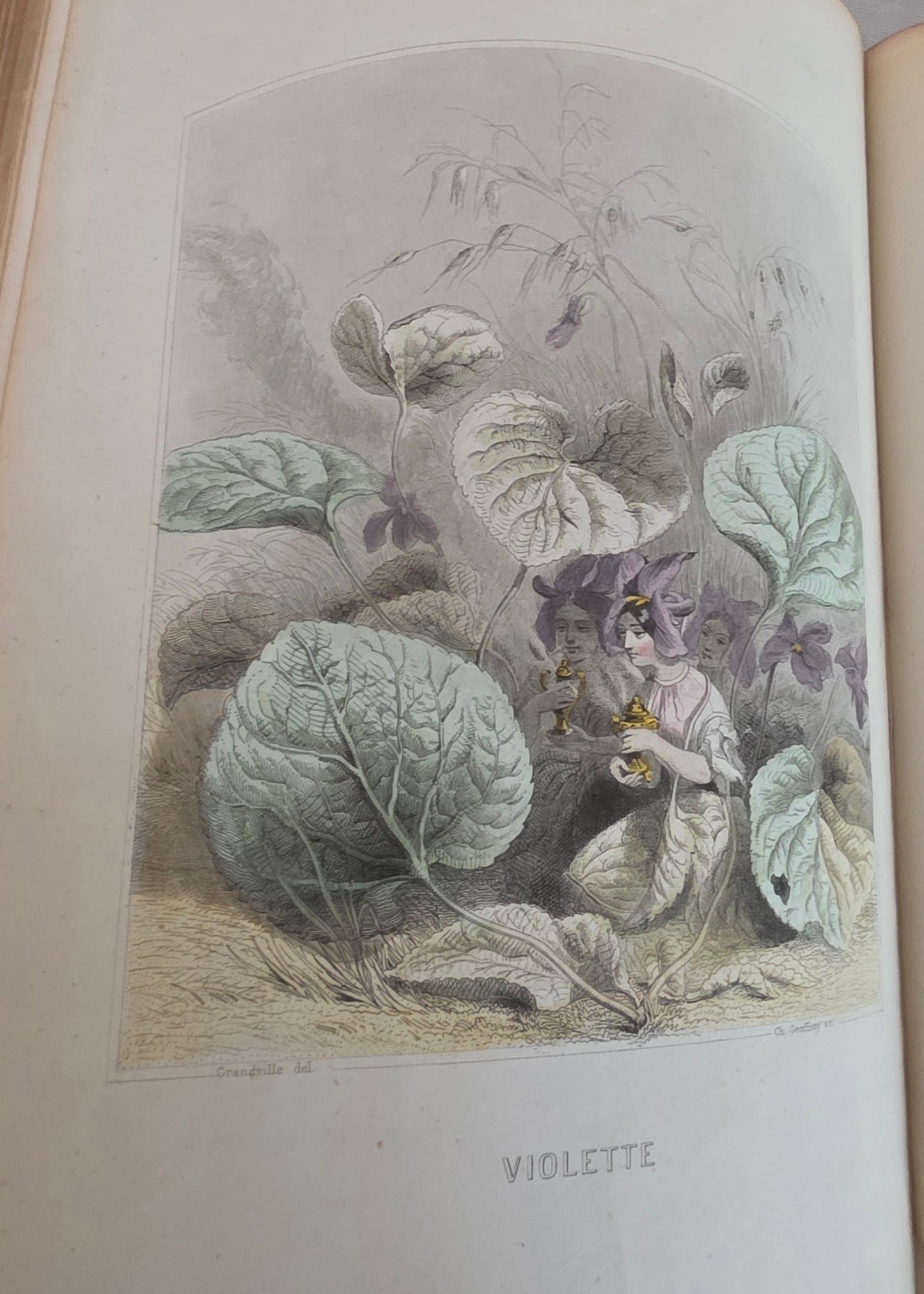 1847 Les Fleurs Animees (1st Edition, 2nd Imp) - Illustrated by Grandville