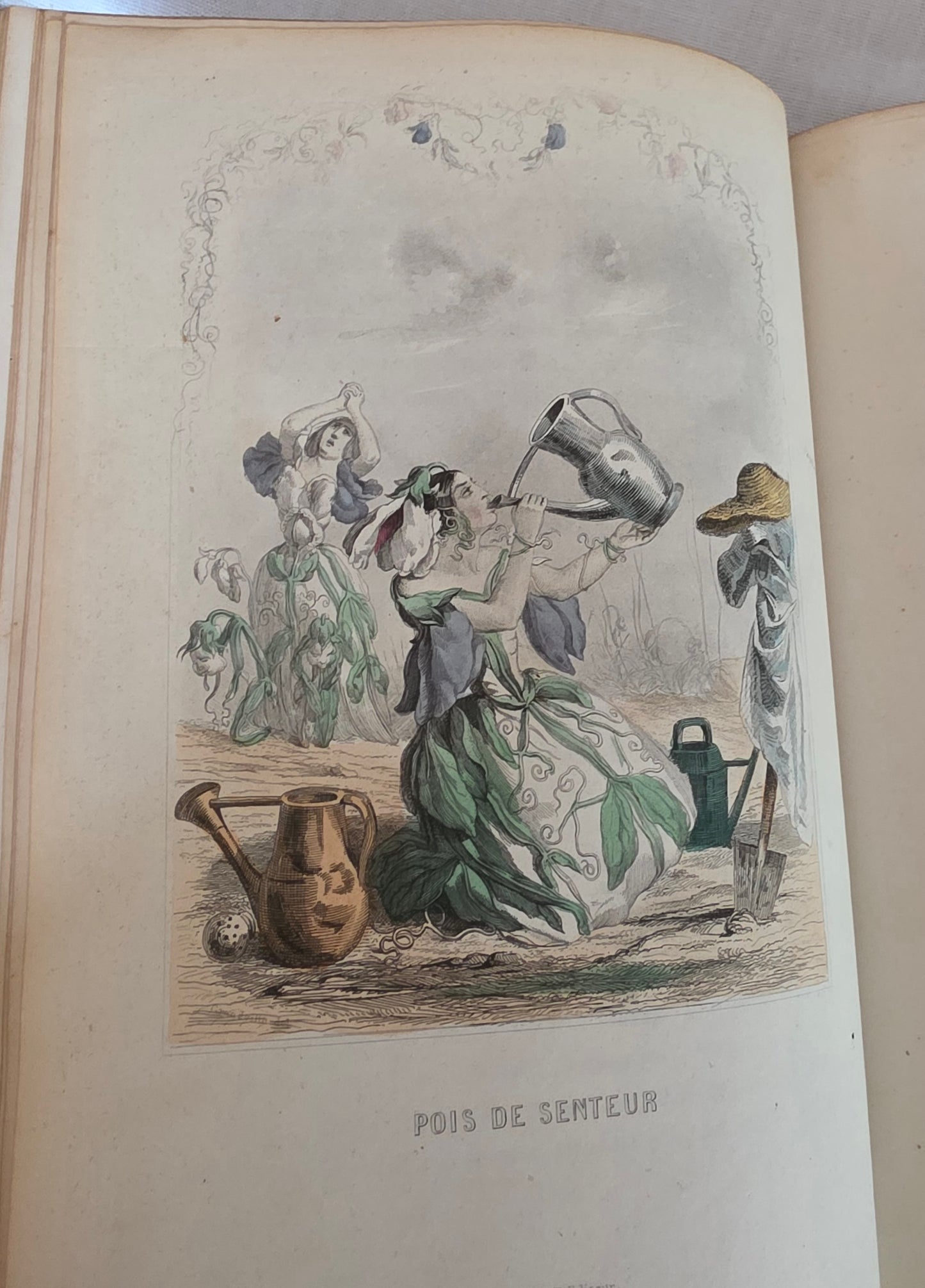 1847 Les Fleurs Animees (1st Edition, 2nd Imp) - Illustrated by Grandville