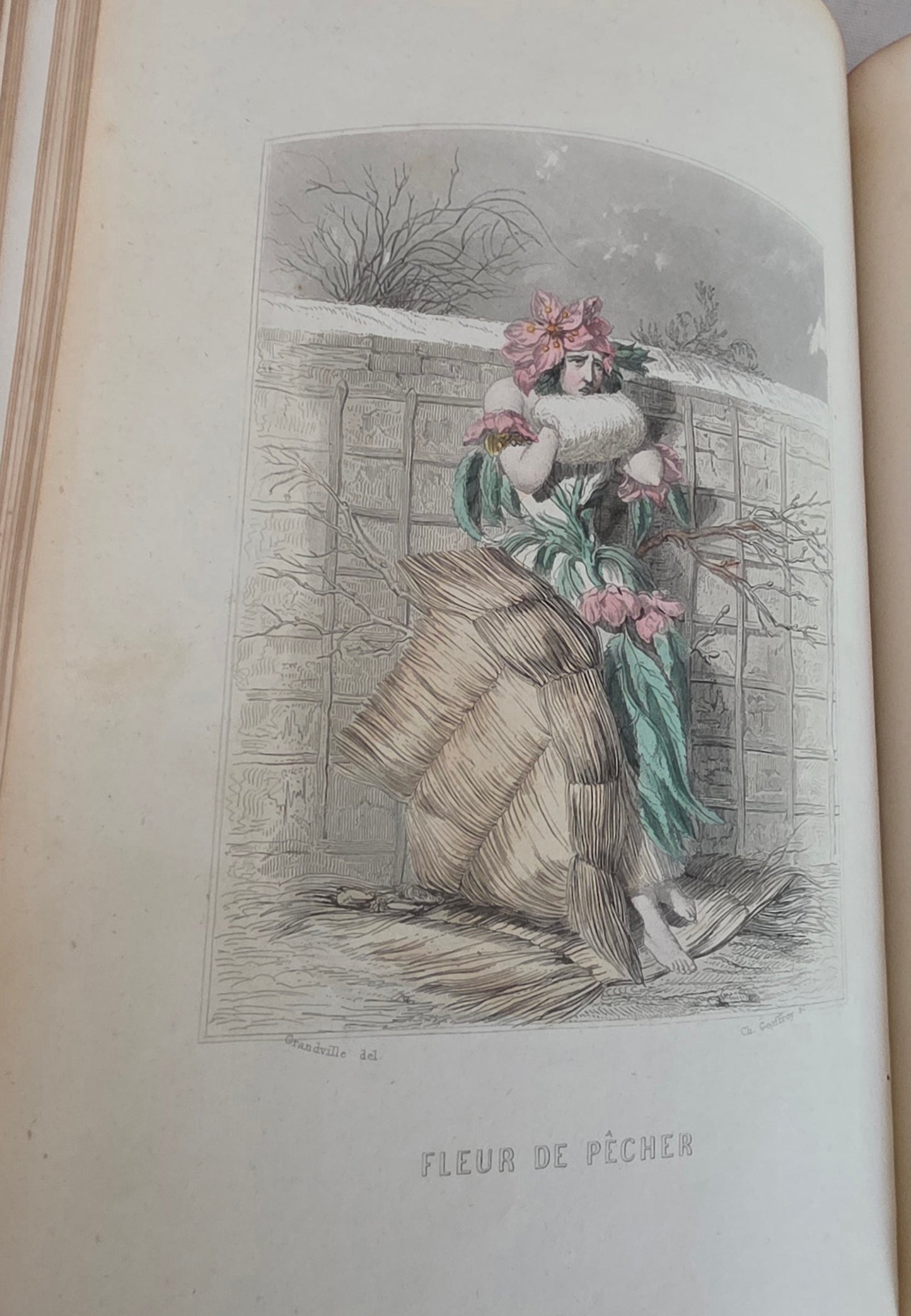1847 Les Fleurs Animees (1st Edition, 2nd Imp) - Illustrated by Grandville
