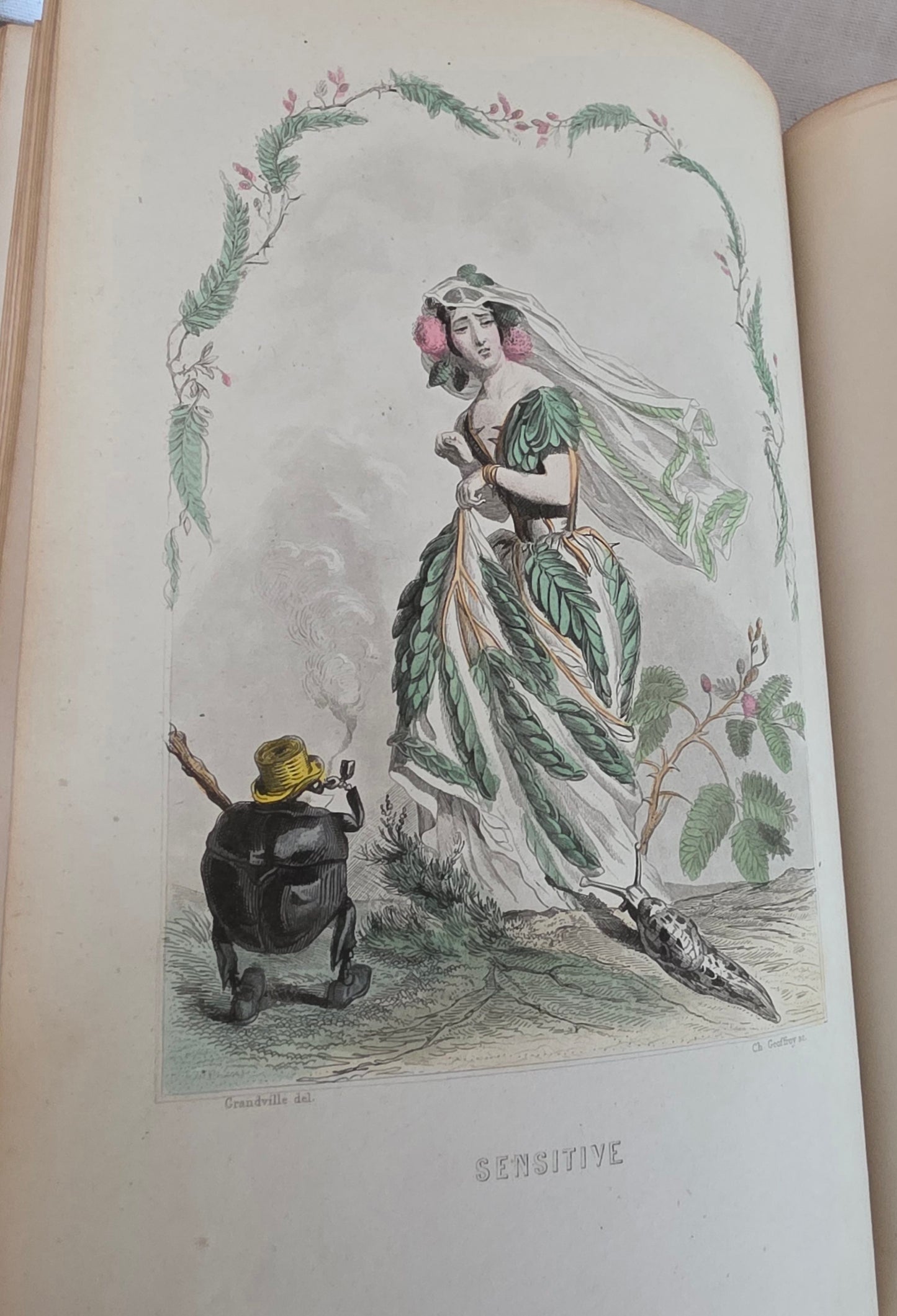 1847 Les Fleurs Animees (1st Edition, 2nd Imp) - Illustrated by Grandville