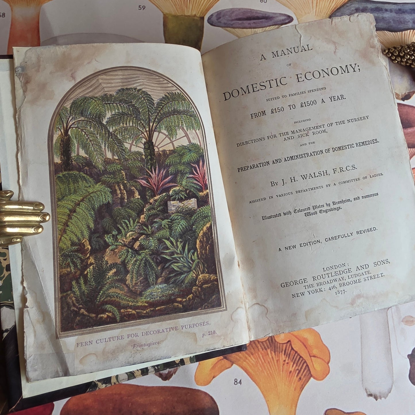 1877 A Manual of Domestic Economy - Victorian Household Manual