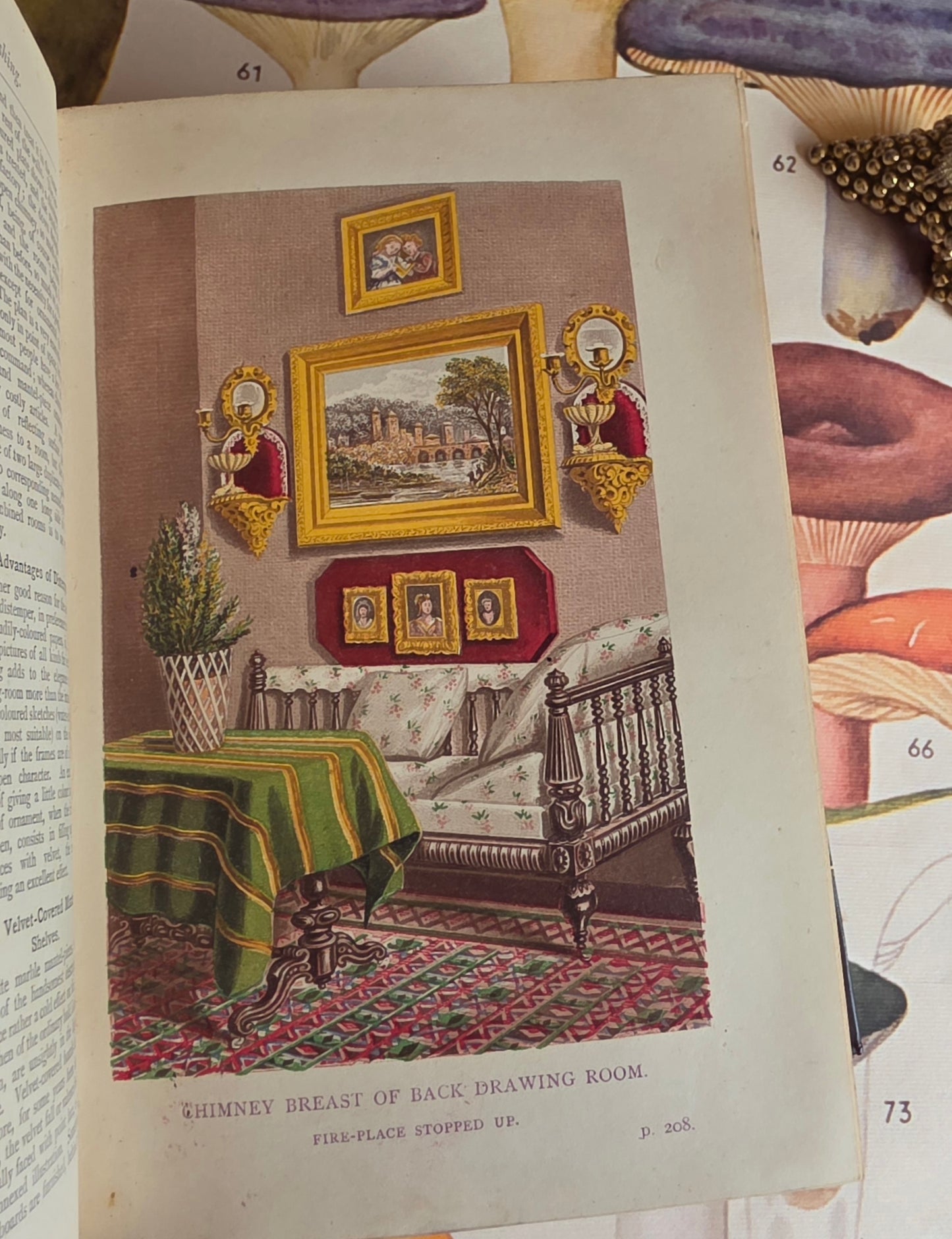1877 A Manual of Domestic Economy - Victorian Household Manual