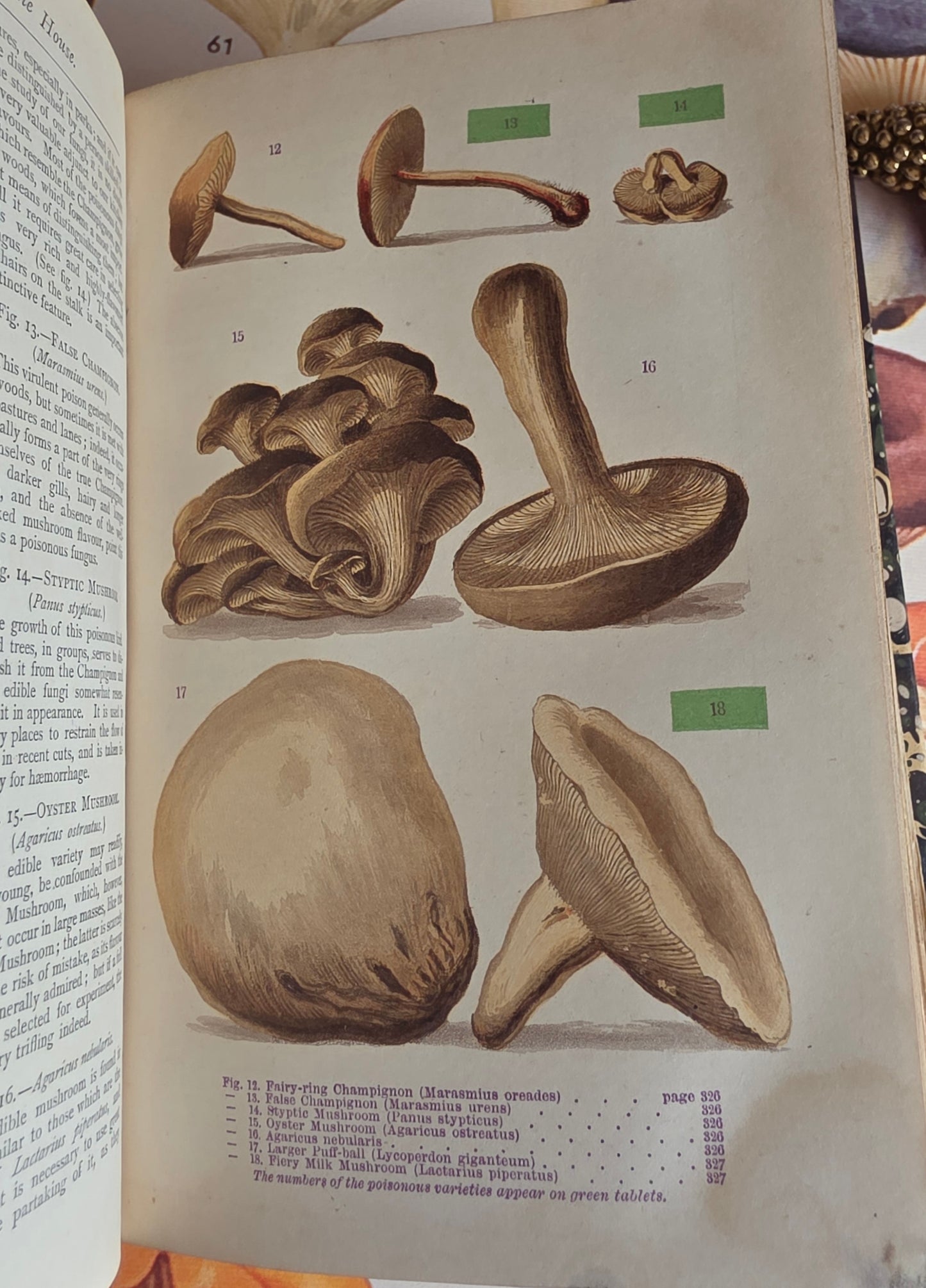 1877 A Manual of Domestic Economy - Victorian Household Manual