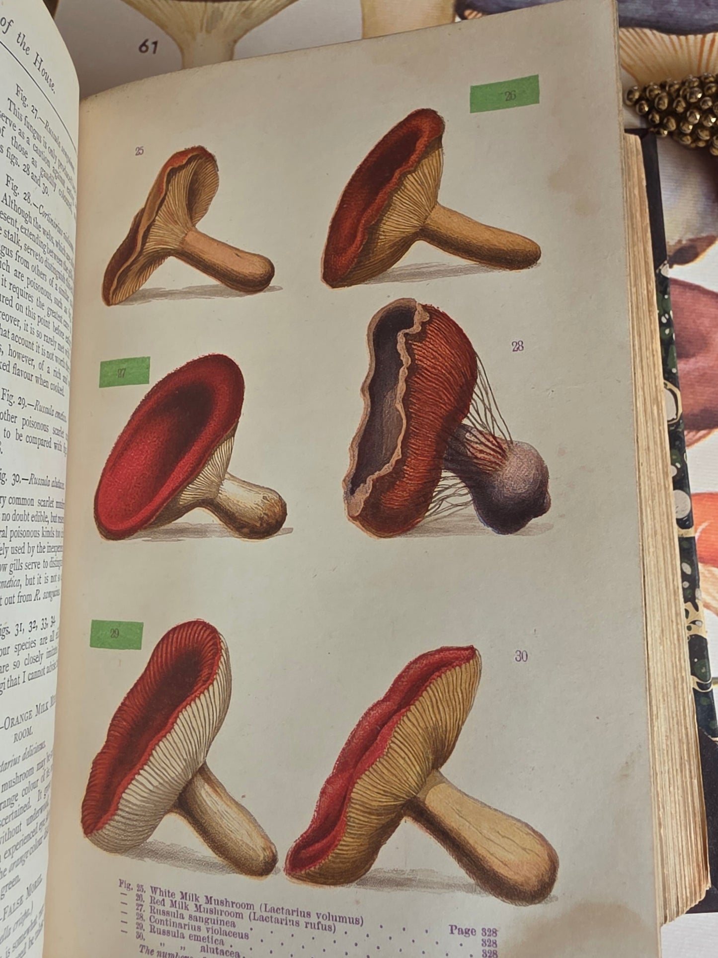 1877 A Manual of Domestic Economy - Victorian Household Manual