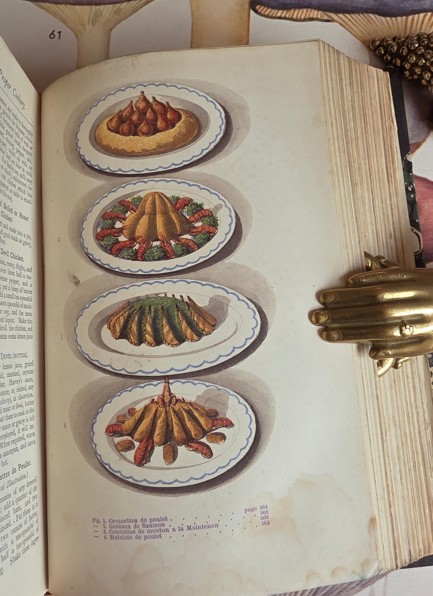 1877 A Manual of Domestic Economy - Victorian Household Manual