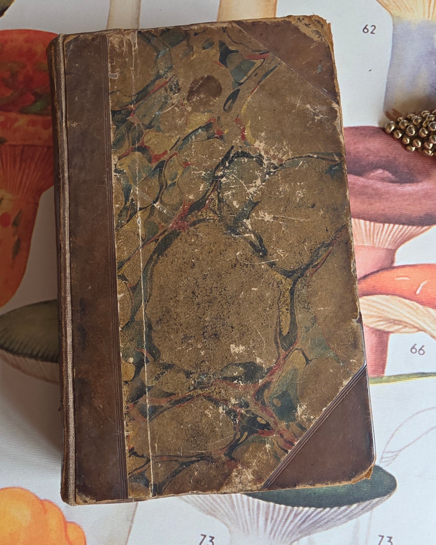1833 A New System of Domestic Cookery - By A Lady / Illustrated Antique Book