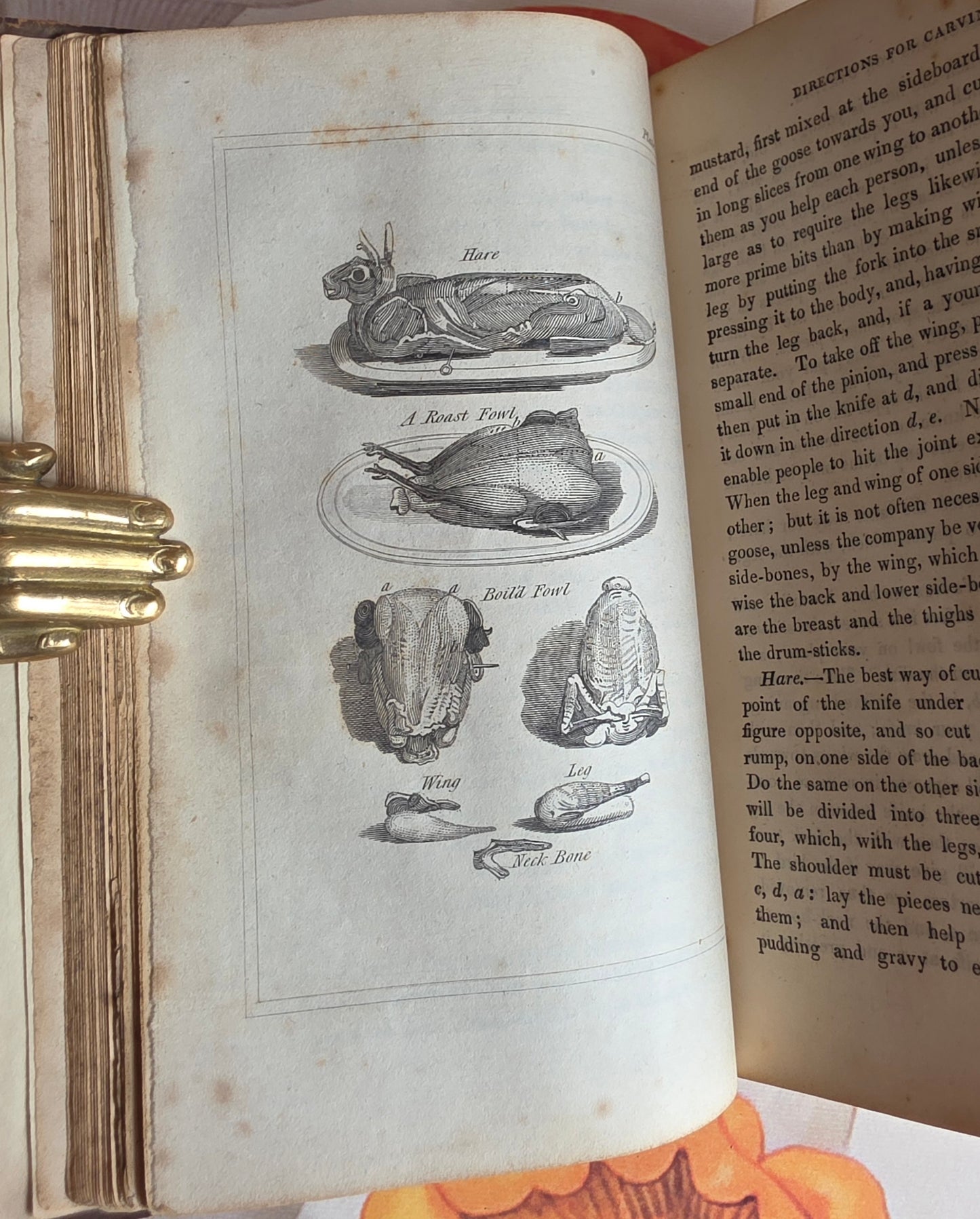 1833 A New System of Domestic Cookery - By A Lady / Illustrated Antique Book
