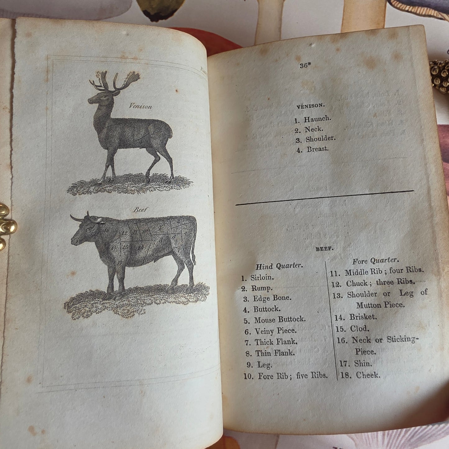 1833 A New System of Domestic Cookery - By A Lady / Illustrated Antique Book