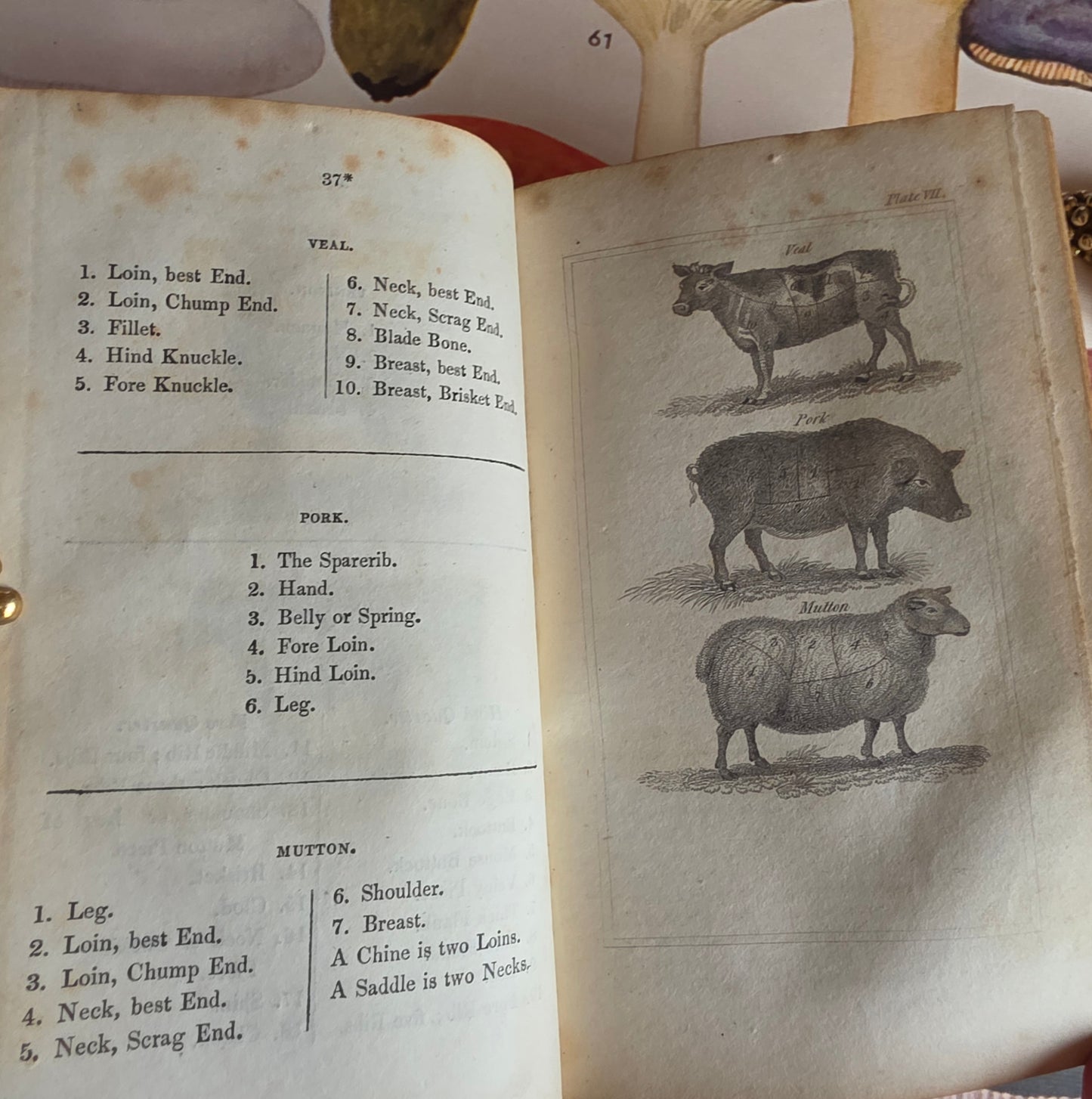 1833 A New System of Domestic Cookery - By A Lady / Illustrated Antique Book