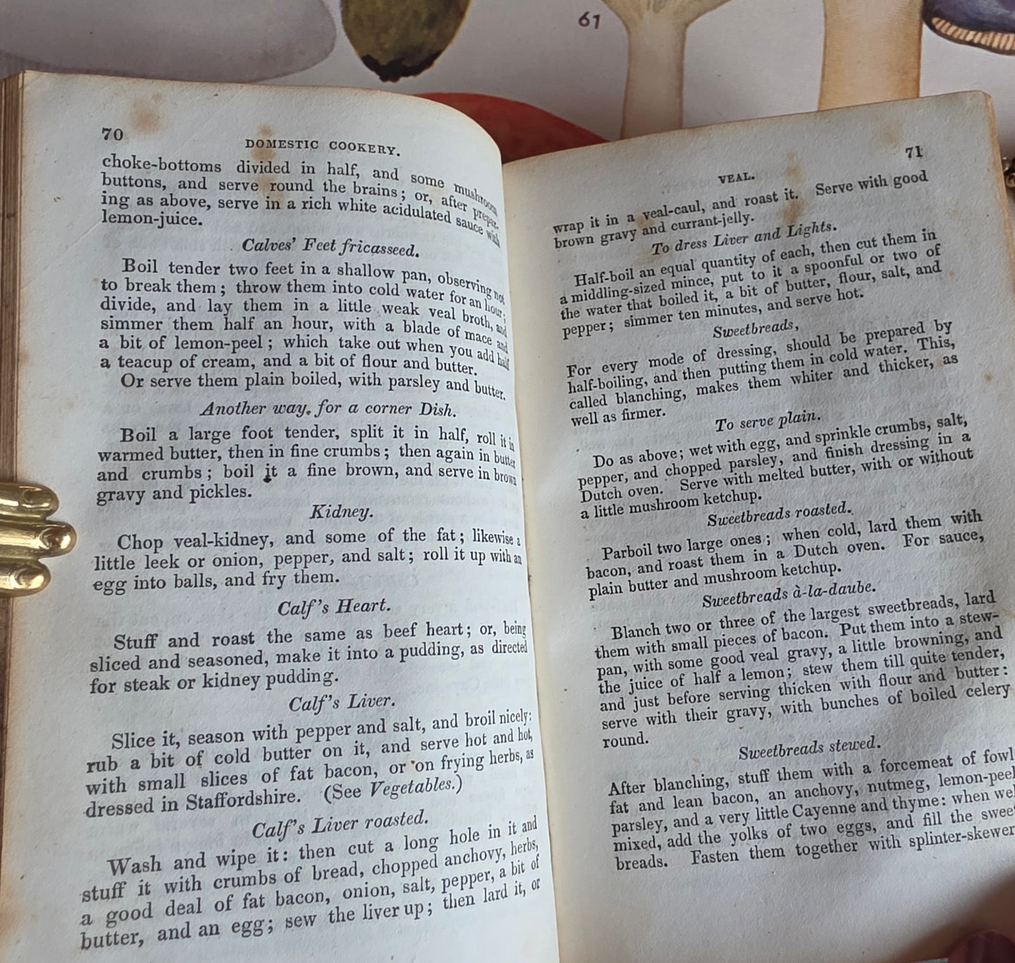 1833 A New System of Domestic Cookery - By A Lady / Illustrated Antique Book