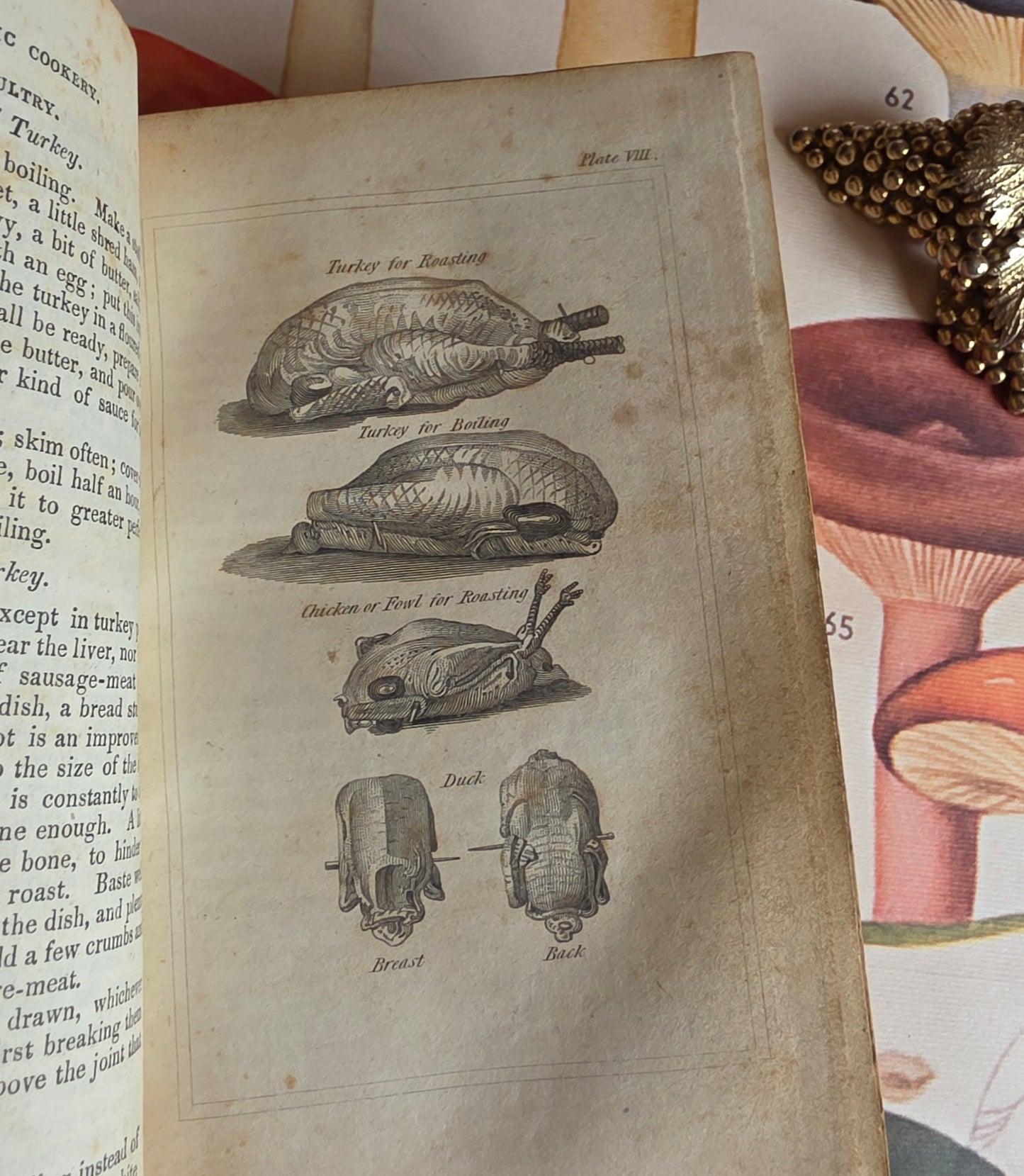 1833 A New System of Domestic Cookery - By A Lady / Illustrated Antique Book