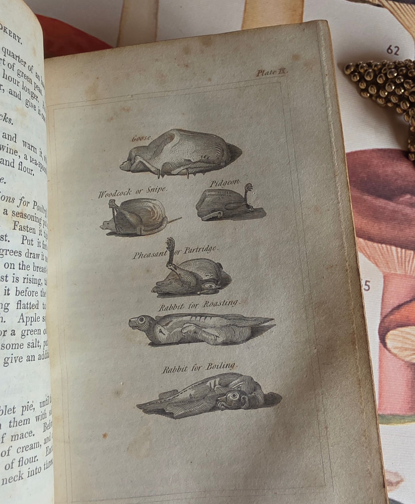 1833 A New System of Domestic Cookery - By A Lady / Illustrated Antique Book