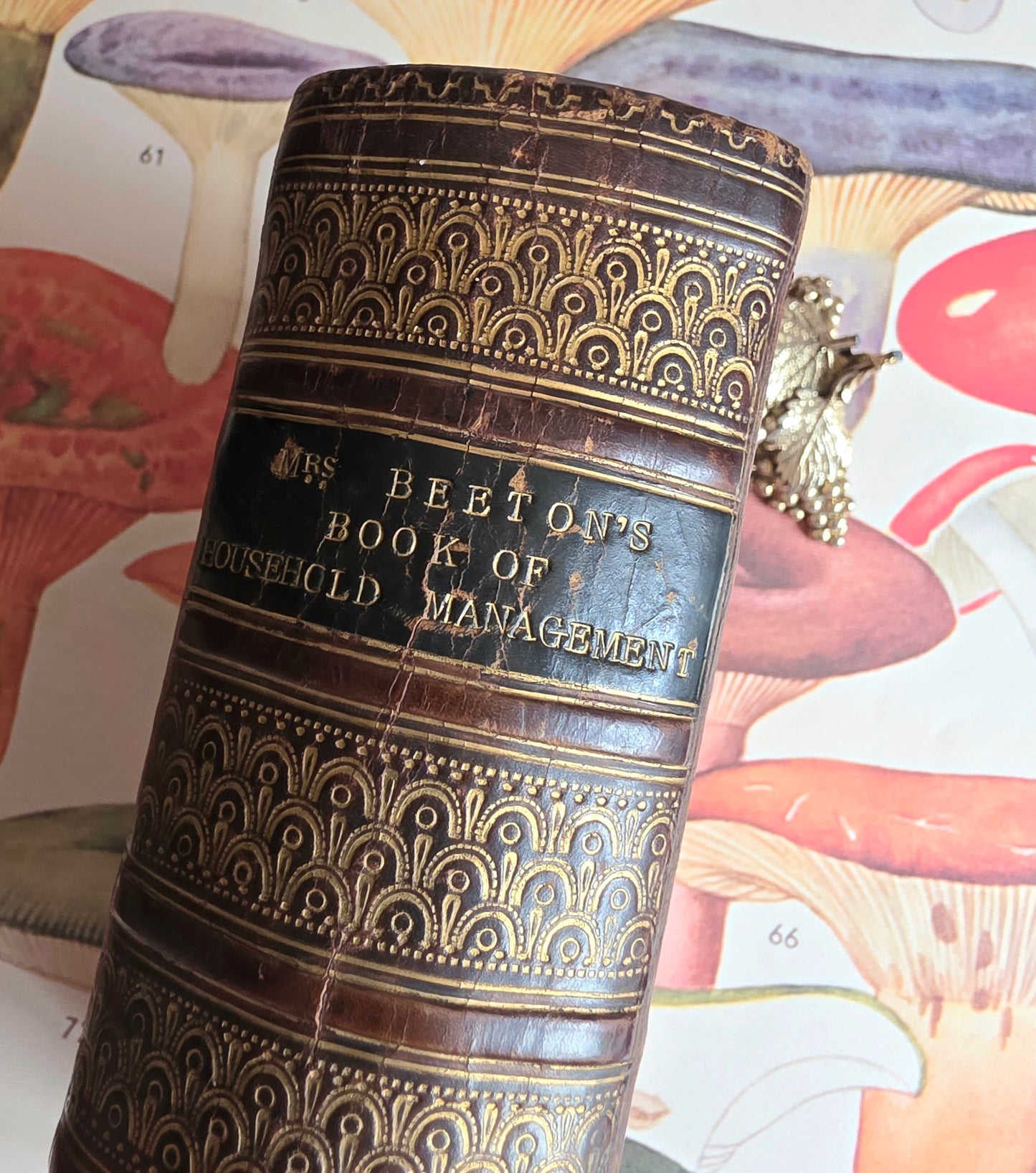 1869 The Book of Household Management by Mrs Isabella Beeton - 12 Colour Plates - Antique Book