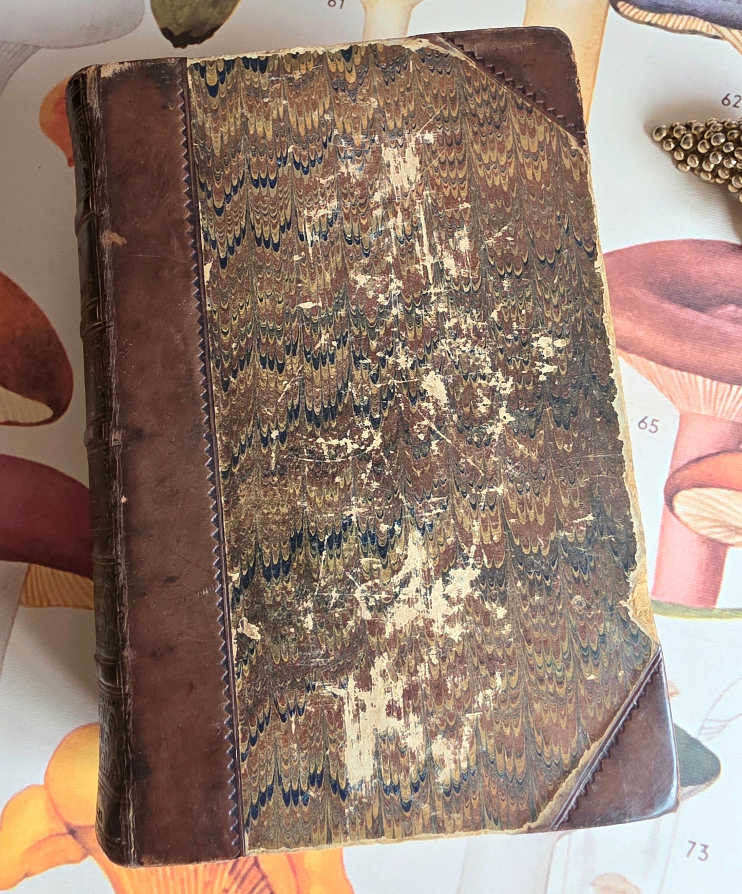 1869 The Book of Household Management by Mrs Isabella Beeton - 12 Colour Plates - Antique Book