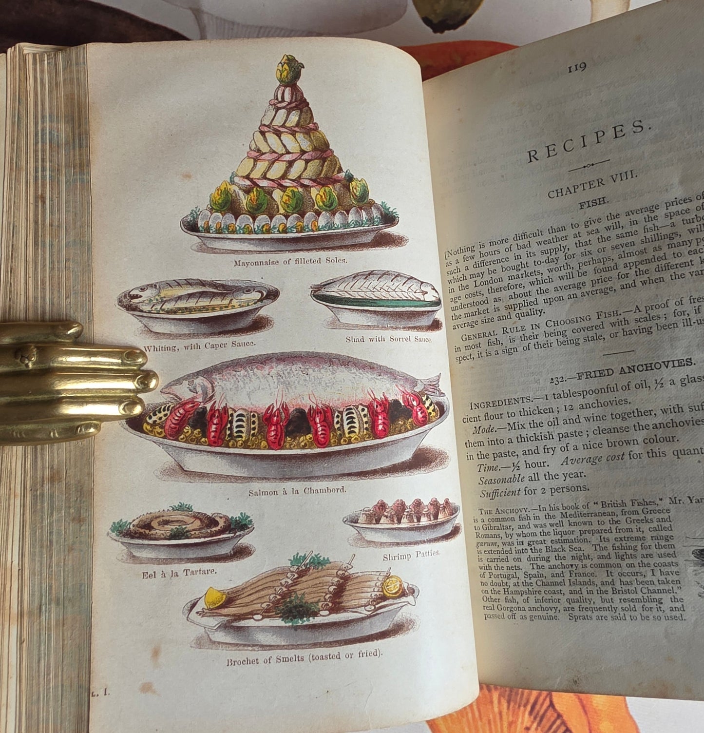 1869 The Book of Household Management by Mrs Isabella Beeton - 12 Colour Plates - Antique Book