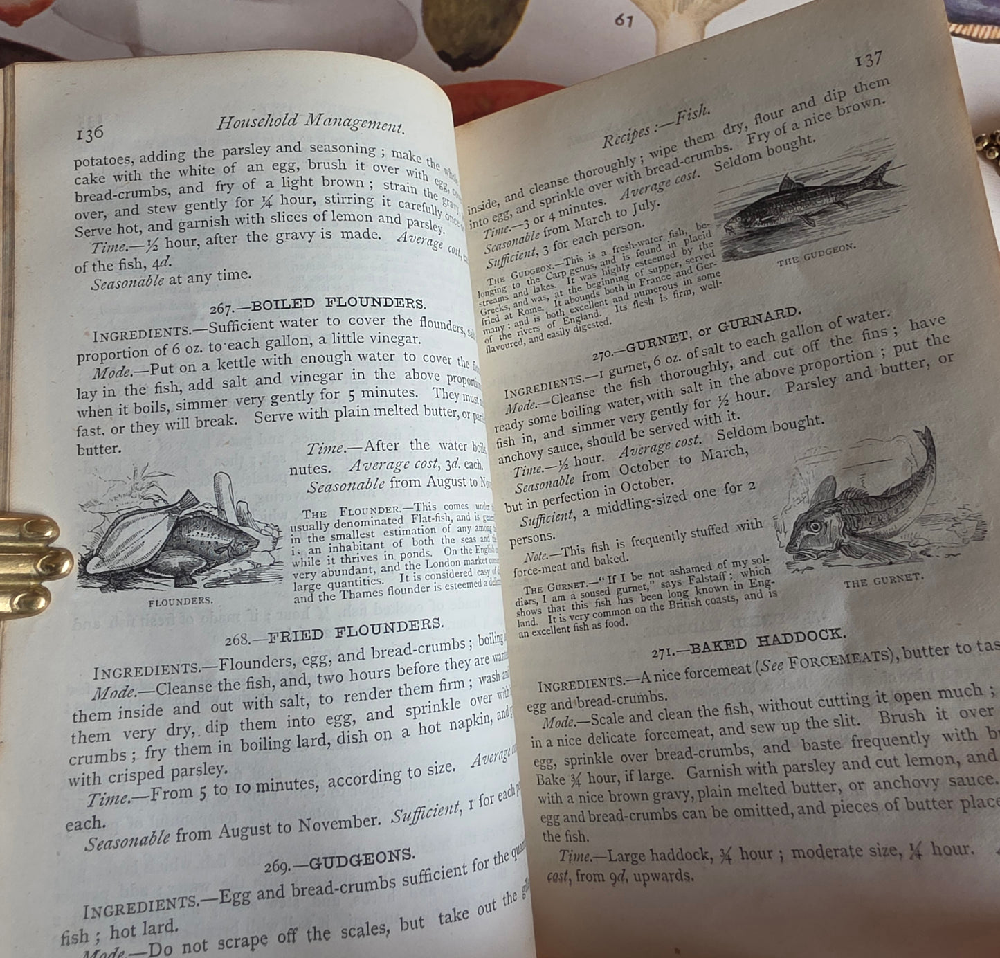 1869 The Book of Household Management by Mrs Isabella Beeton - 12 Colour Plates - Antique Book