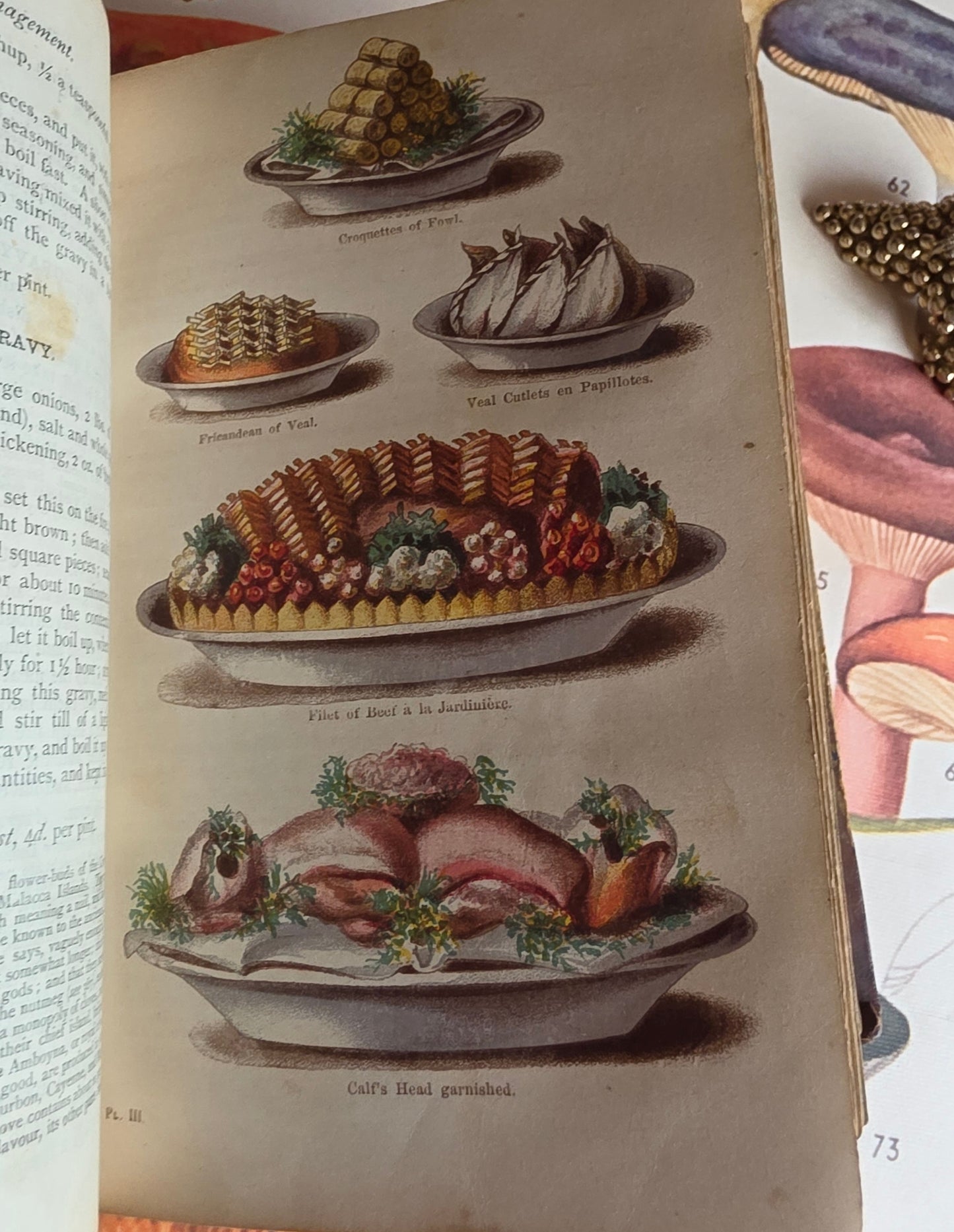 1869 The Book of Household Management by Mrs Isabella Beeton - 12 Colour Plates - Antique Book