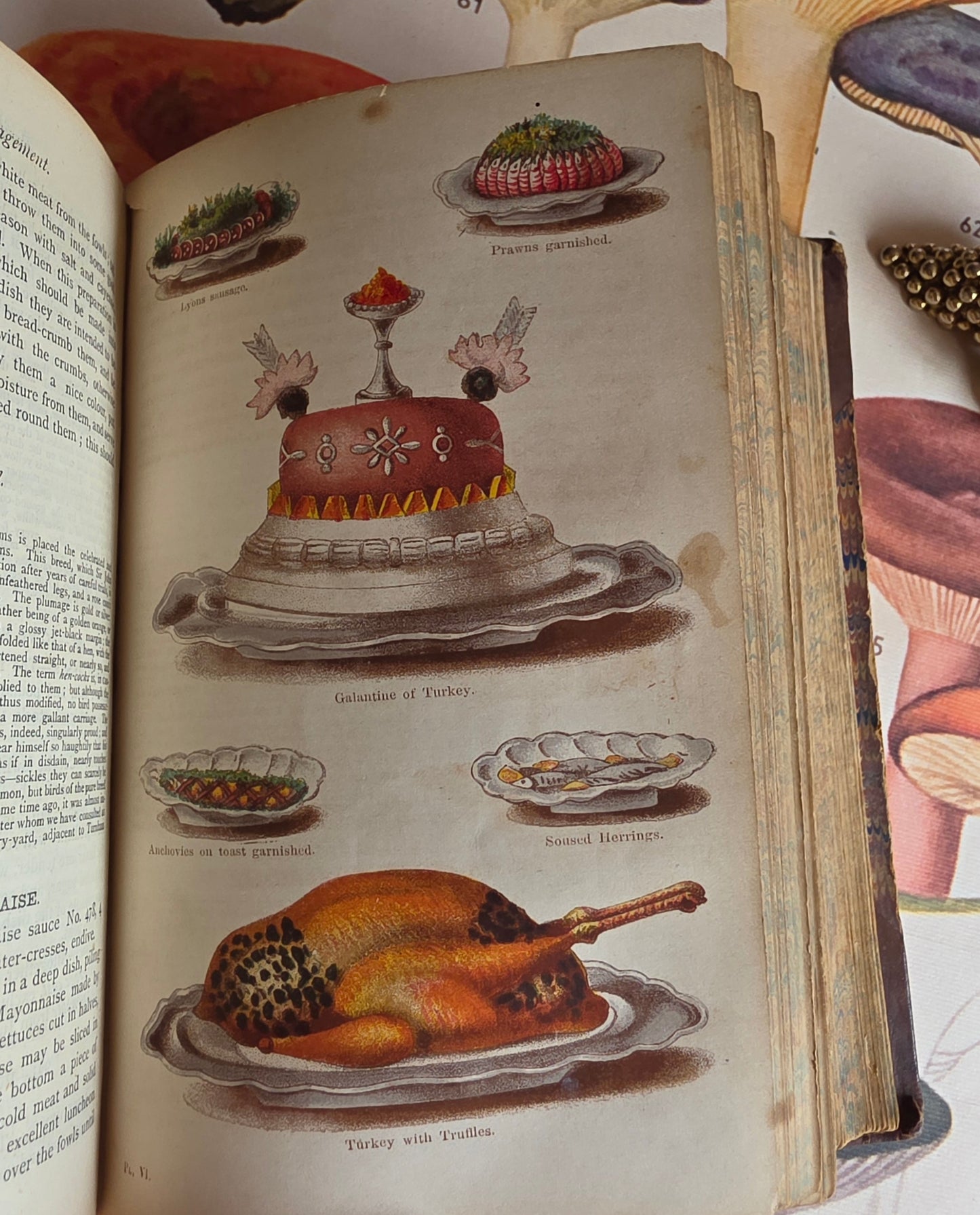 1869 The Book of Household Management by Mrs Isabella Beeton - 12 Colour Plates - Antique Book