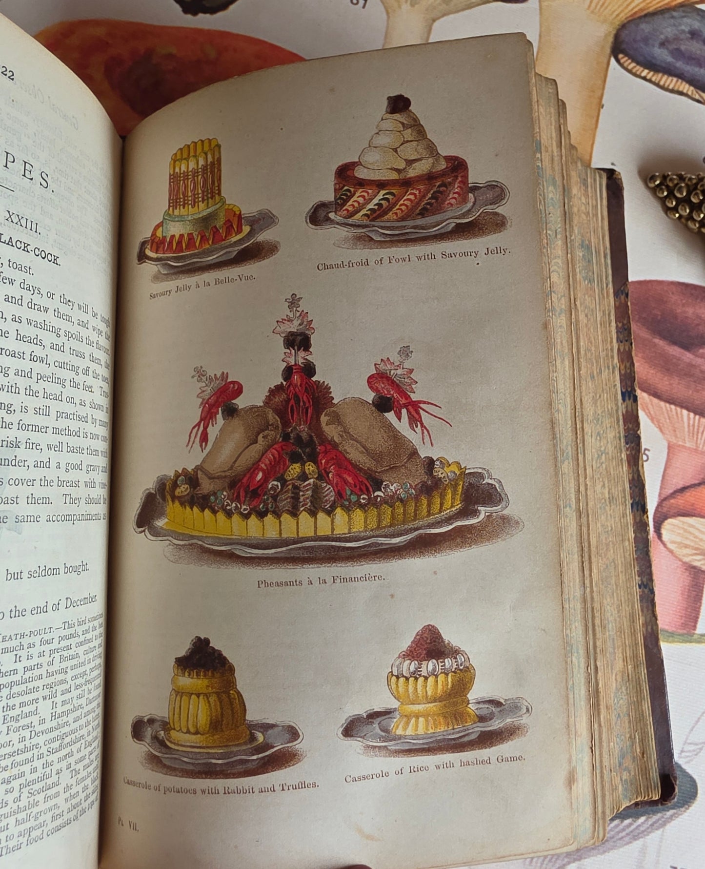 1869 The Book of Household Management by Mrs Isabella Beeton - 12 Colour Plates - Antique Book