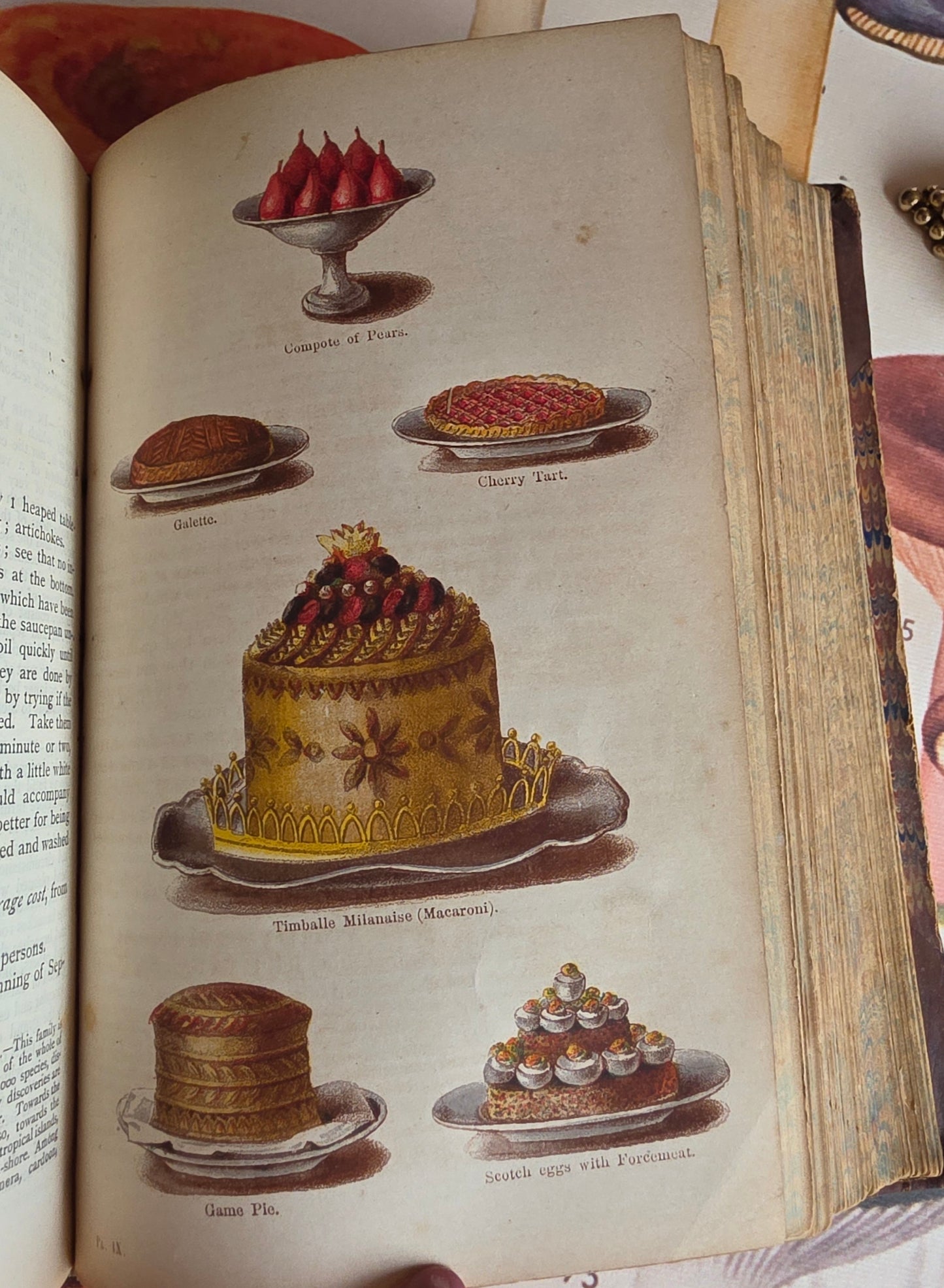 1869 The Book of Household Management by Mrs Isabella Beeton - 12 Colour Plates - Antique Book