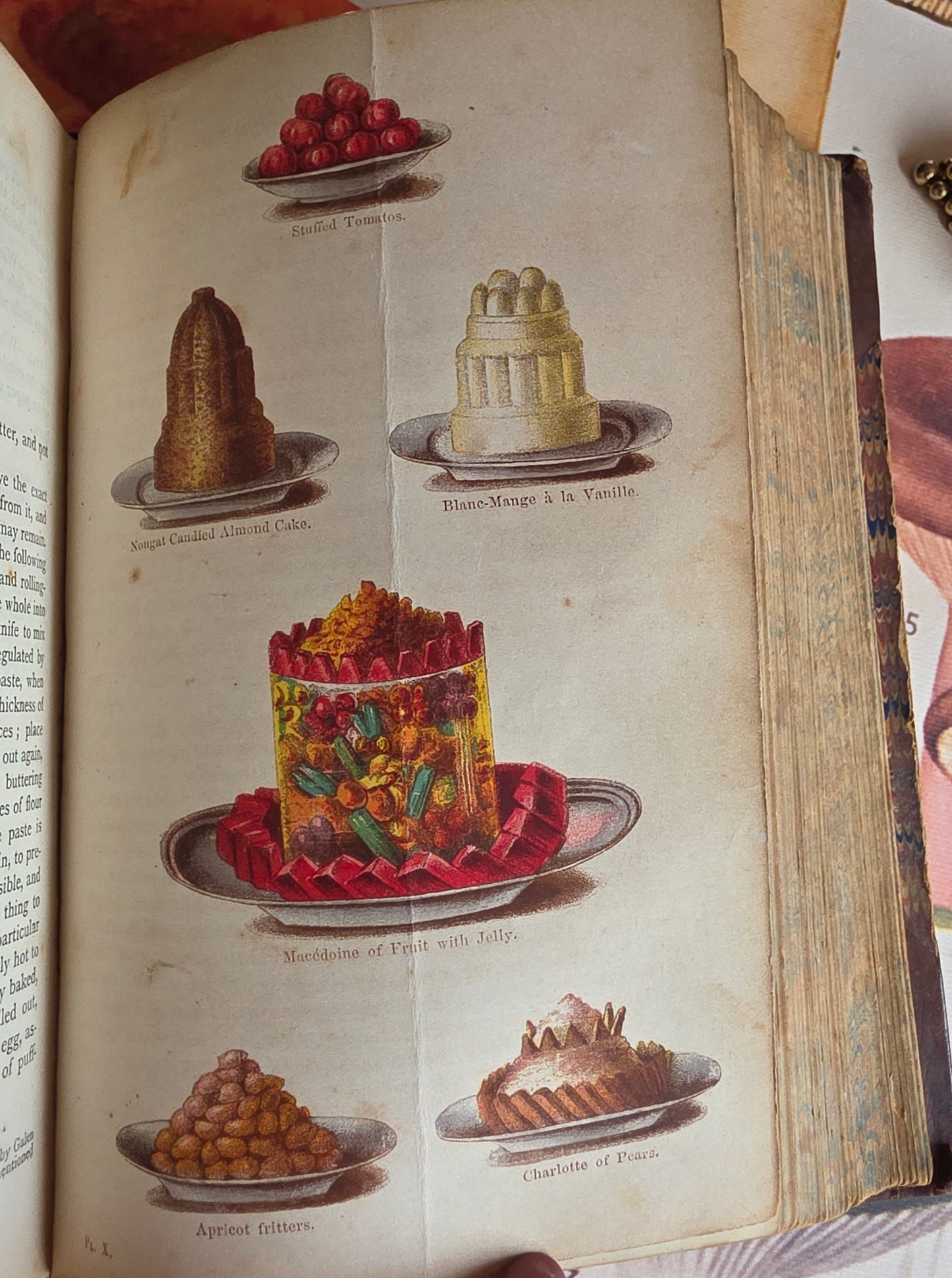 1869 The Book of Household Management by Mrs Isabella Beeton - 12 Colour Plates - Antique Book