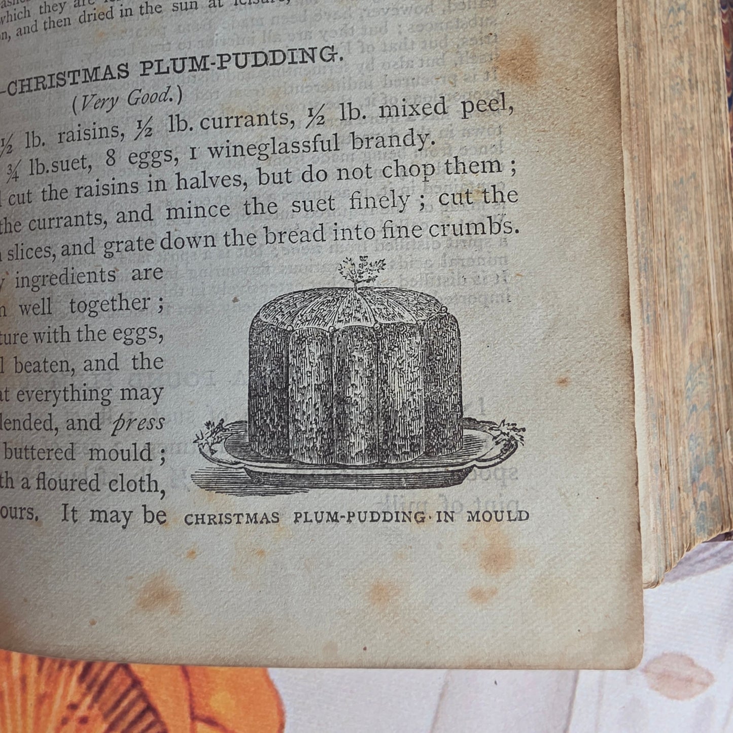 1869 The Book of Household Management by Mrs Isabella Beeton - 12 Colour Plates - Antique Book