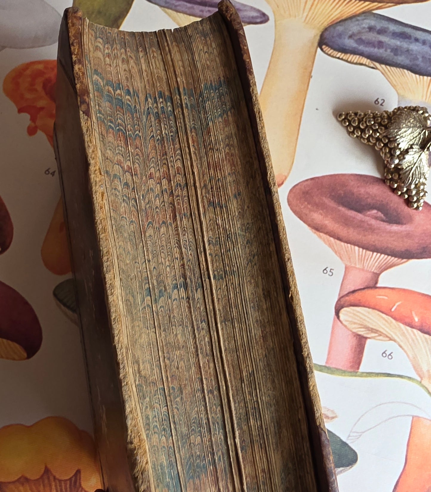 1869 The Book of Household Management by Mrs Isabella Beeton - 12 Colour Plates - Antique Book