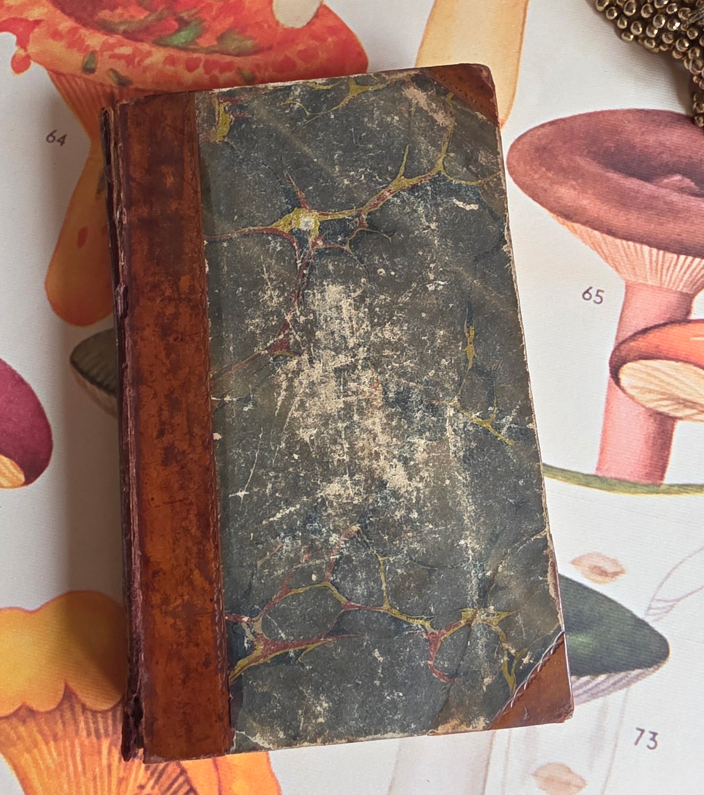 1825 The Modern Family Receipt Book - Georgian Cookery Recipes and Household Advice