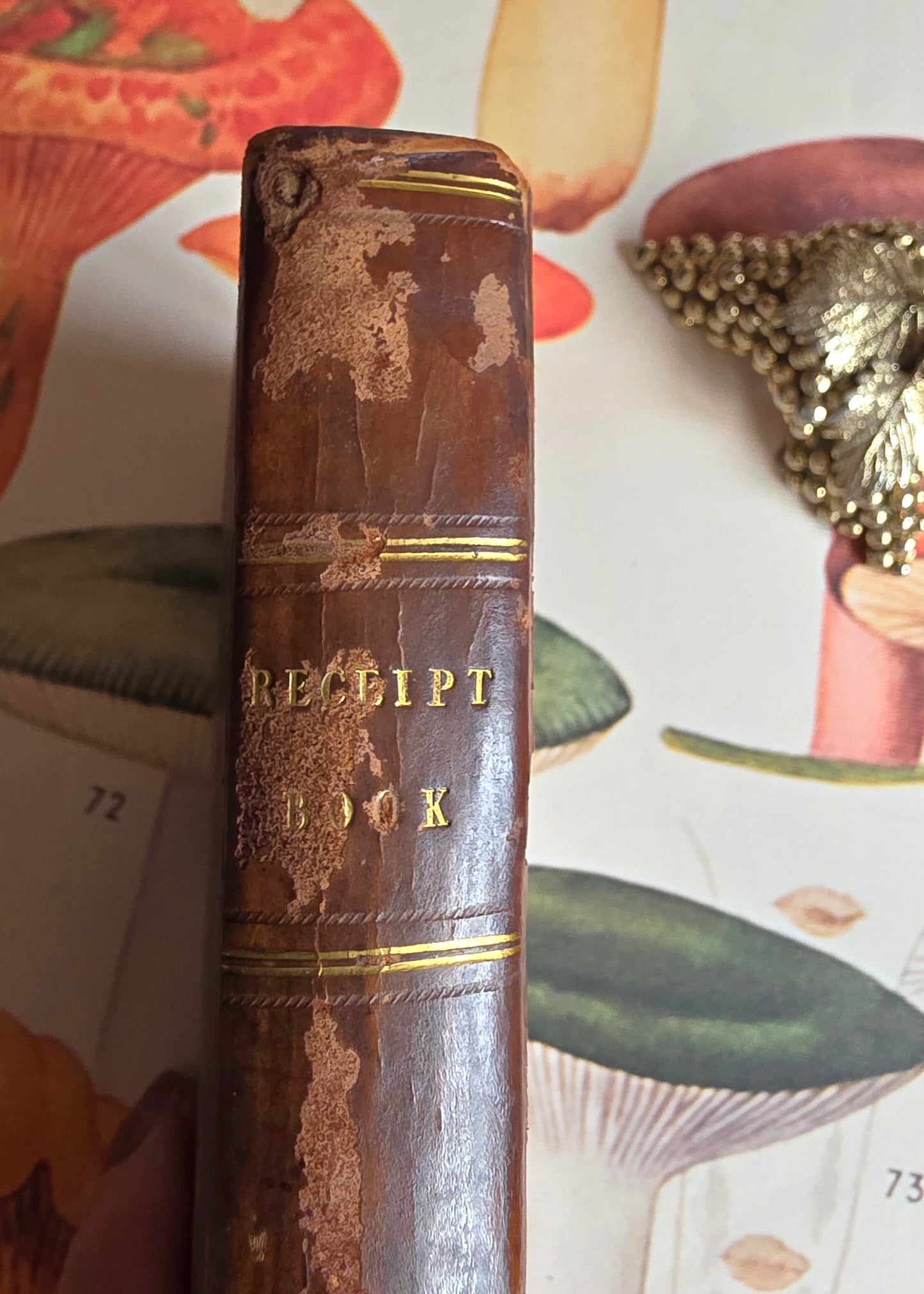 1825 The Modern Family Receipt Book - Georgian Cookery Recipes and Household Advice