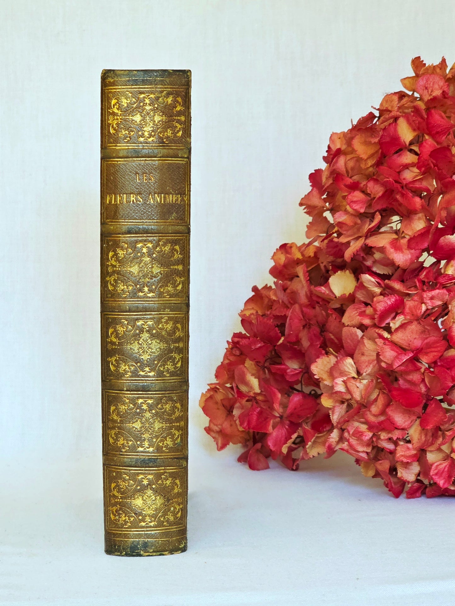 1847 Les Fleurs Animees (1st Edition, 2nd Imp) - Illustrated by Grandville