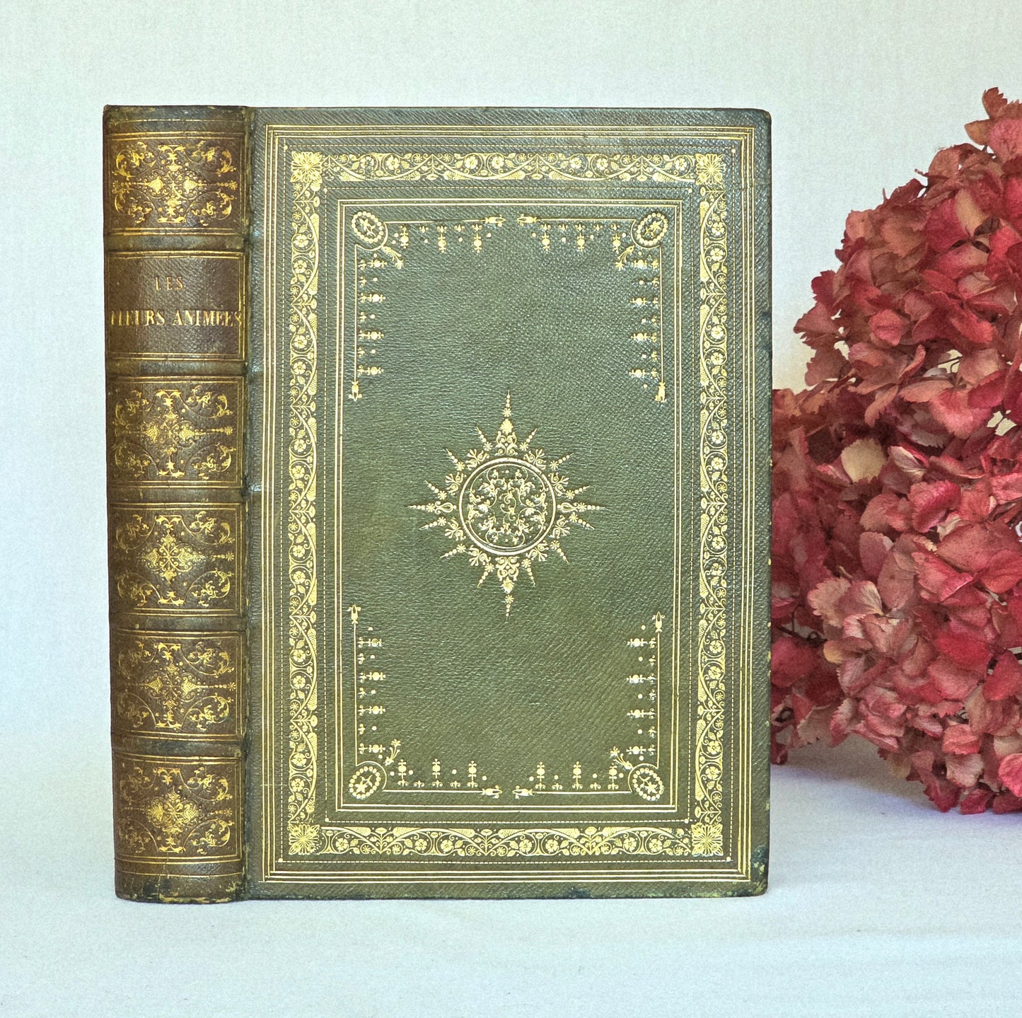 1847 Les Fleurs Animees (1st Edition, 2nd Imp) - Illustrated by Grandville