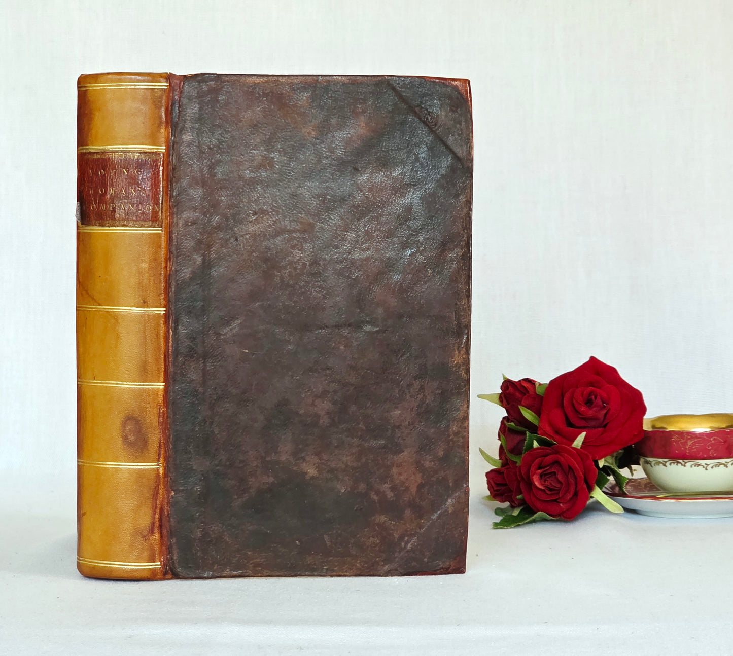 1811 The Young Woman's Companion or Frugal Housewife - Regency/Georgian Cookery Recipes and Household Advice