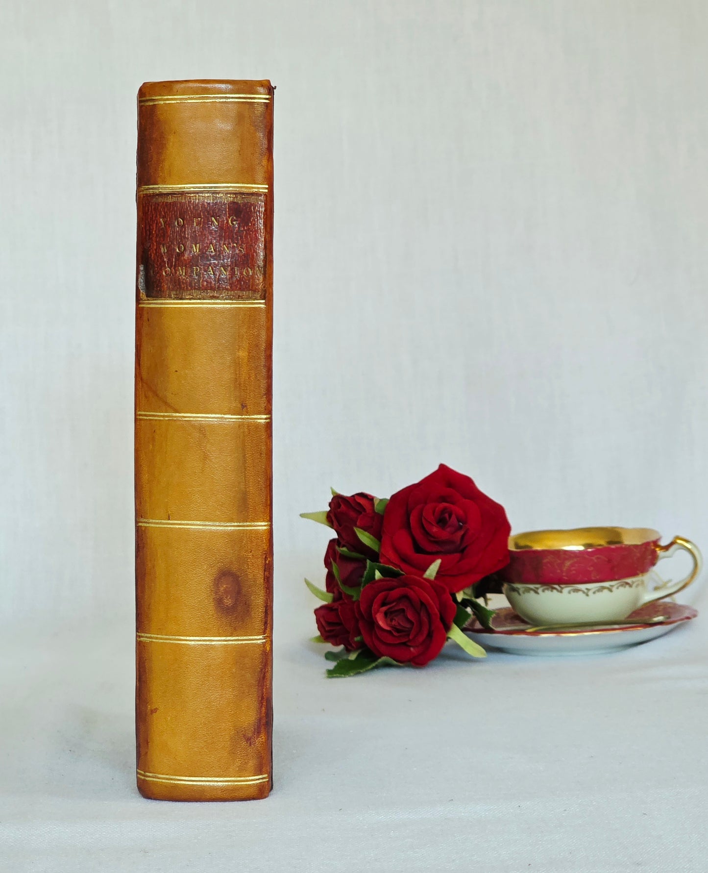 1811 The Young Woman's Companion or Frugal Housewife - Regency/Georgian Cookery Recipes and Household Advice