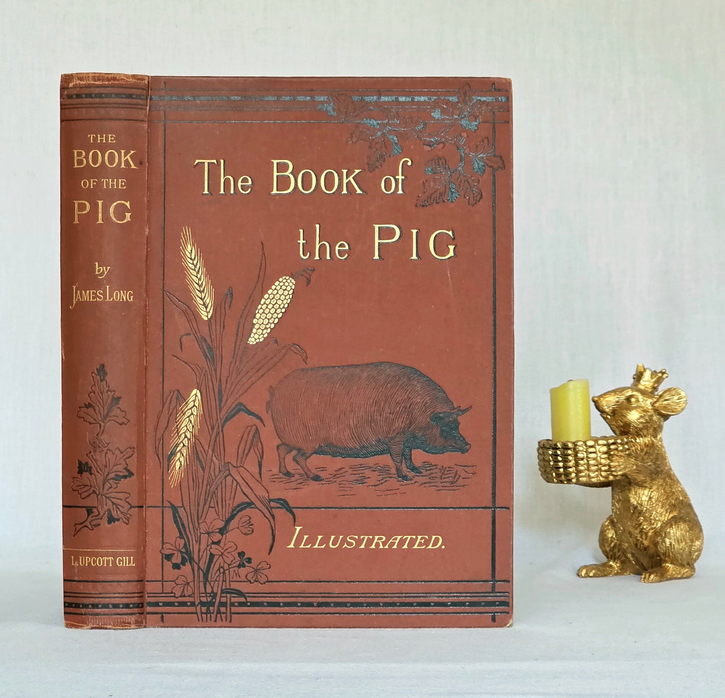 1886 The Book of the Pig by James Long - Illustrated Antique First Edition Book