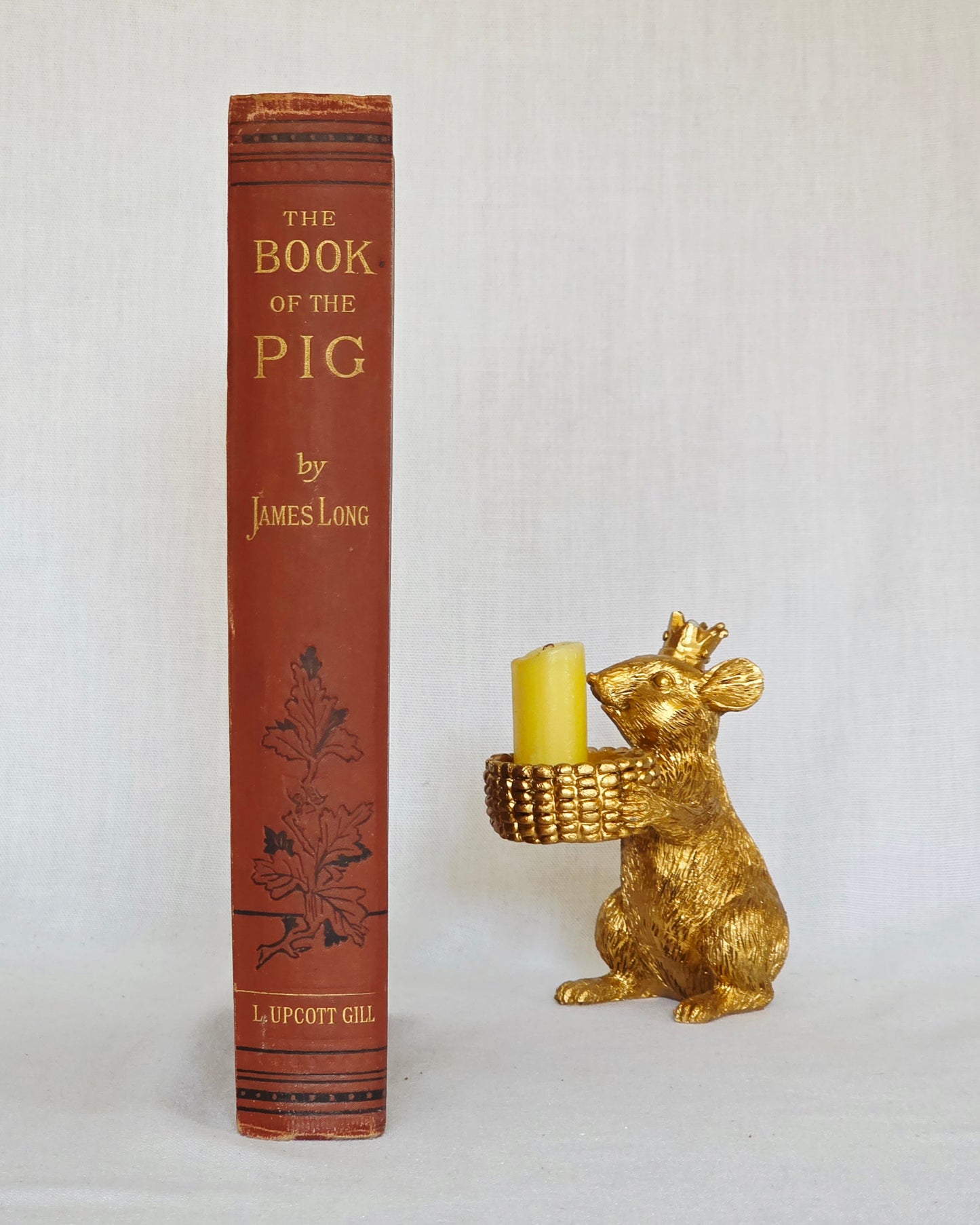 1886 The Book of the Pig by James Long - Illustrated Antique First Edition Book