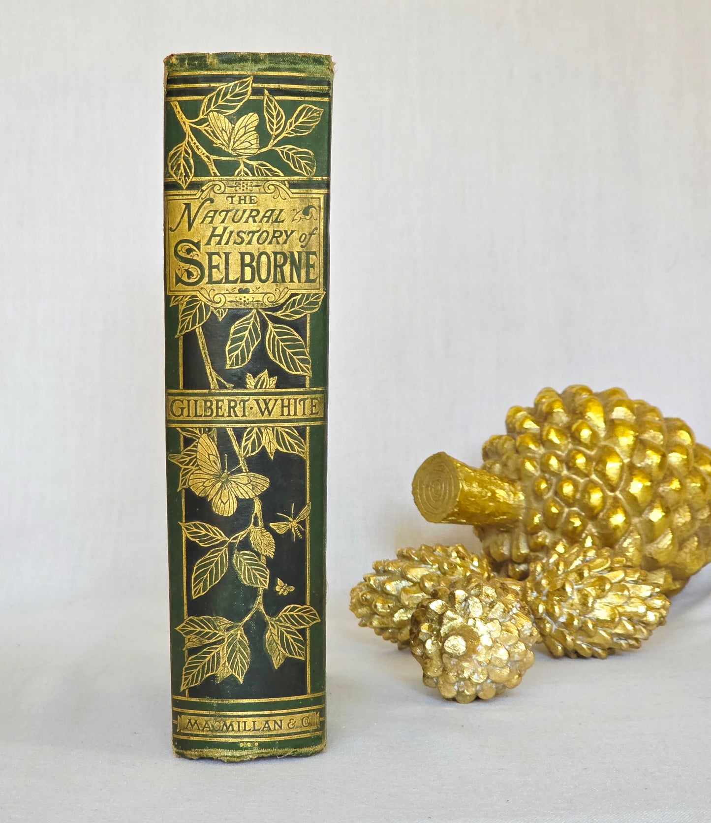 1877 Natural History and Antiquities of Selborne by Gilbert White - Large Antique Illustrated Book - WORN Copy