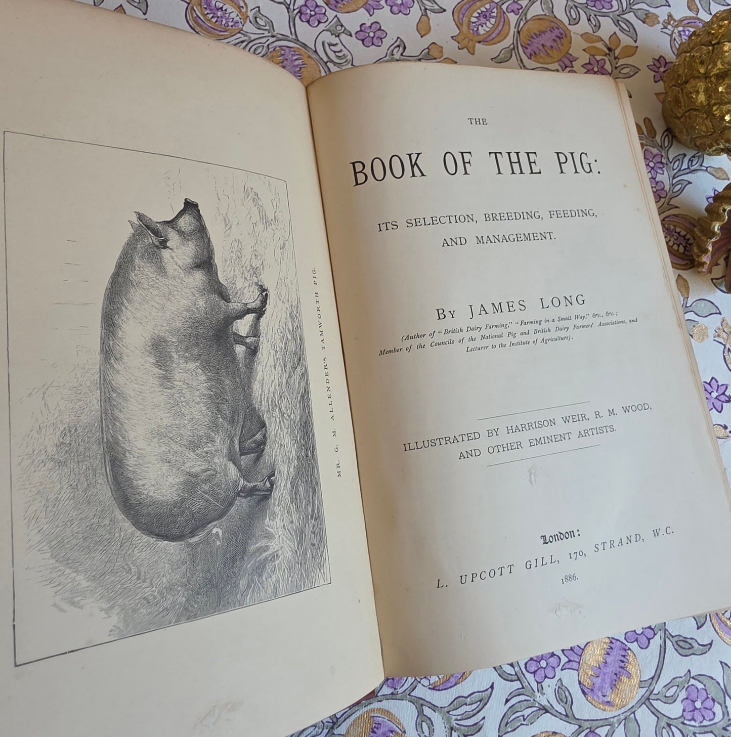 1886 The Book of the Pig by James Long - Illustrated Antique First Edition Book