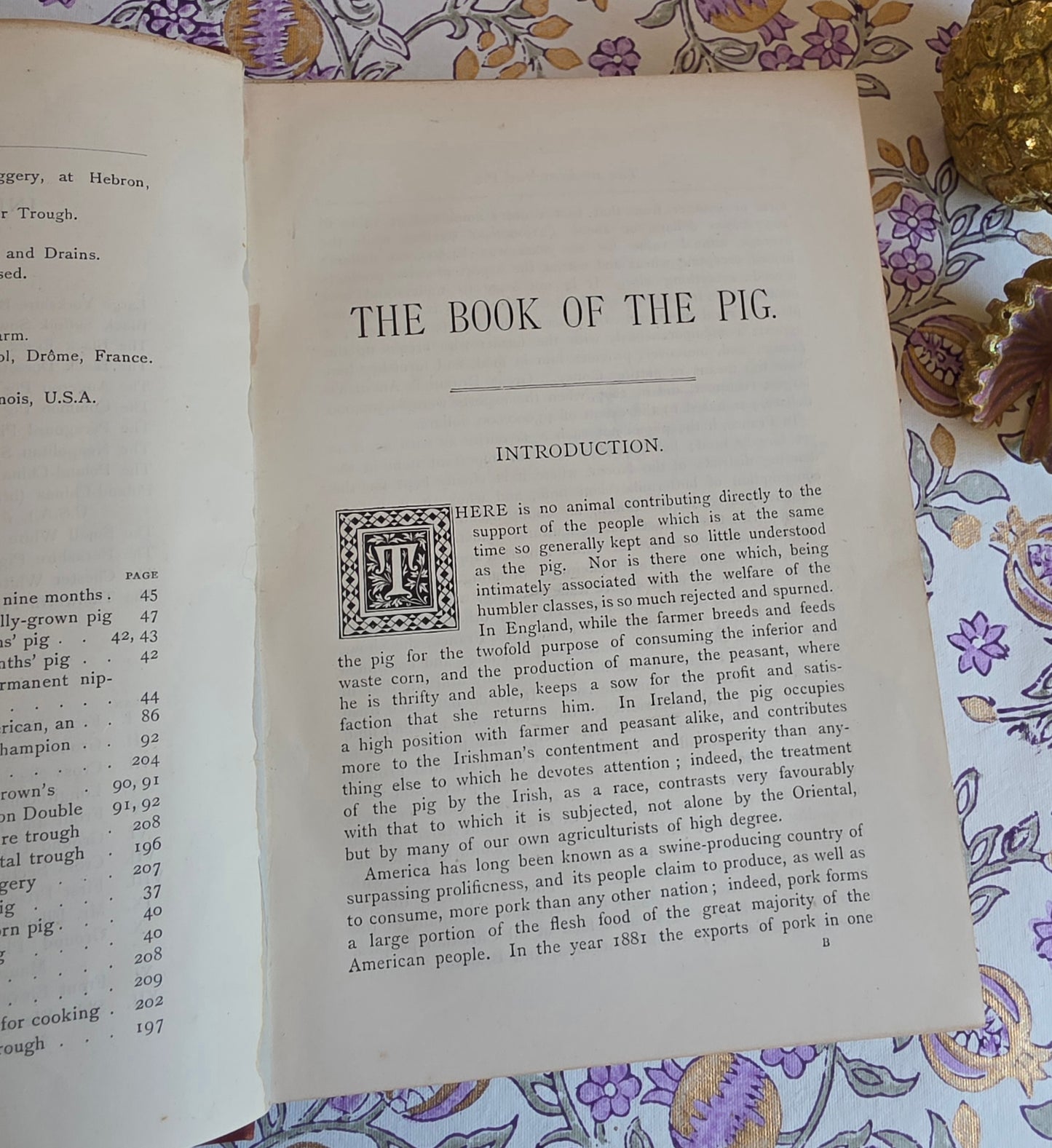 1886 The Book of the Pig by James Long - Illustrated Antique First Edition Book