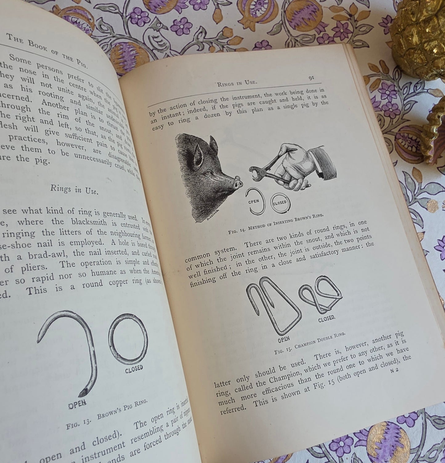 1886 The Book of the Pig by James Long - Illustrated Antique First Edition Book