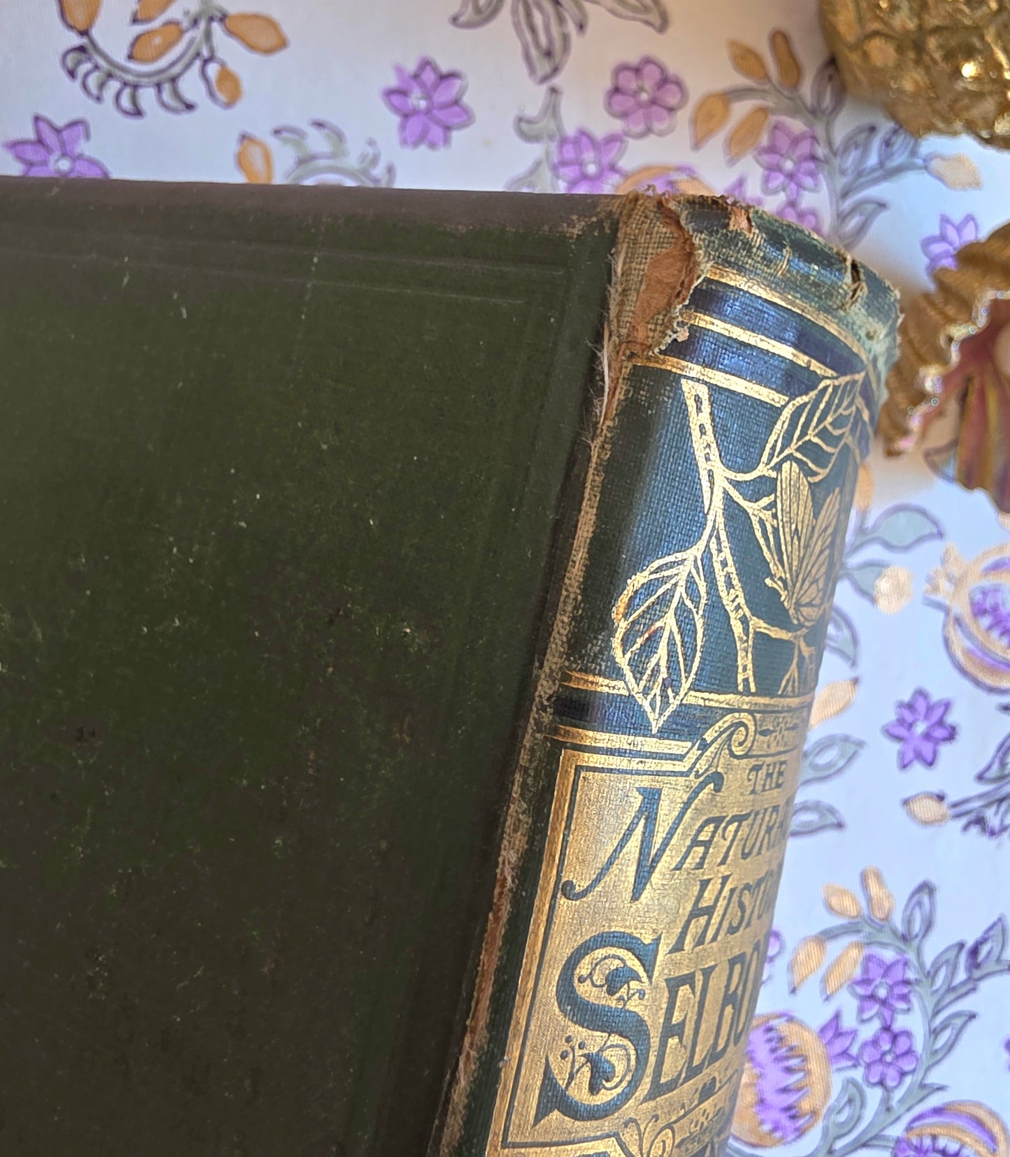 1877 Natural History and Antiquities of Selborne by Gilbert White - Large Antique Illustrated Book - WORN Copy
