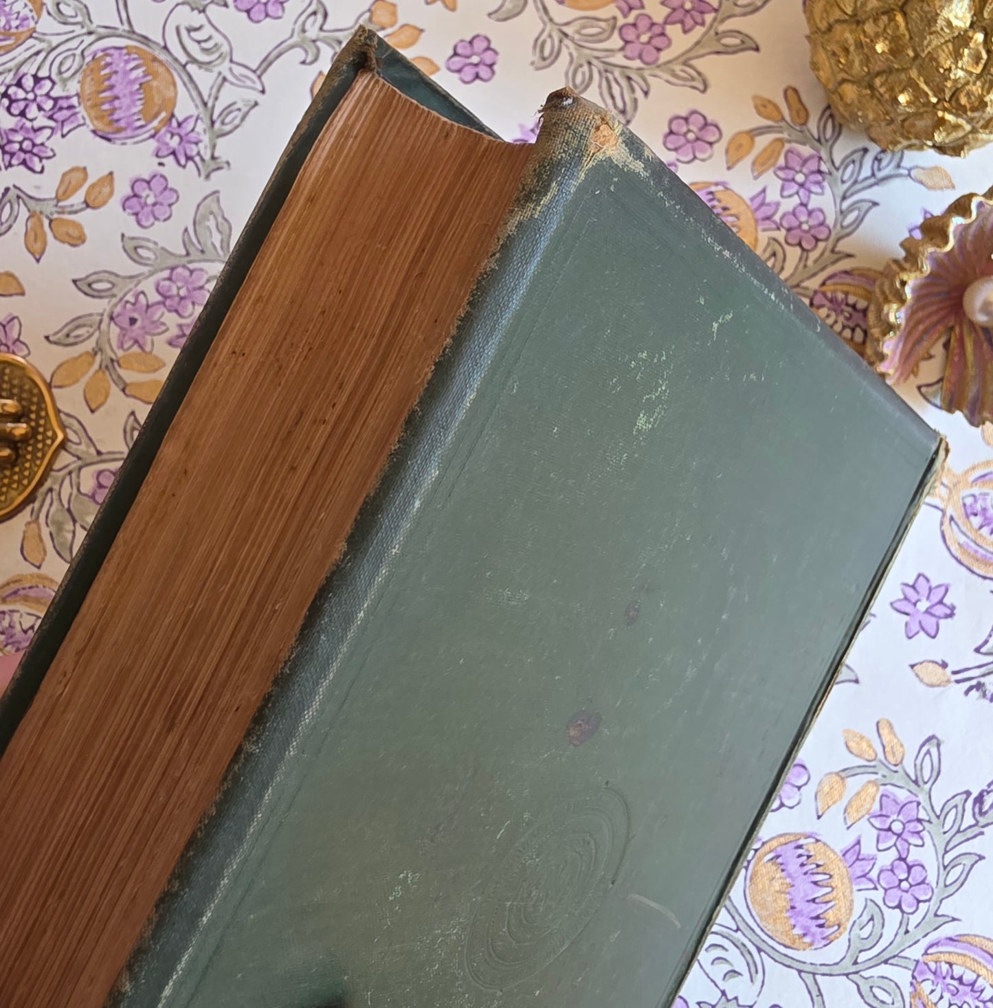 1877 Natural History and Antiquities of Selborne by Gilbert White - Large Antique Illustrated Book - WORN Copy
